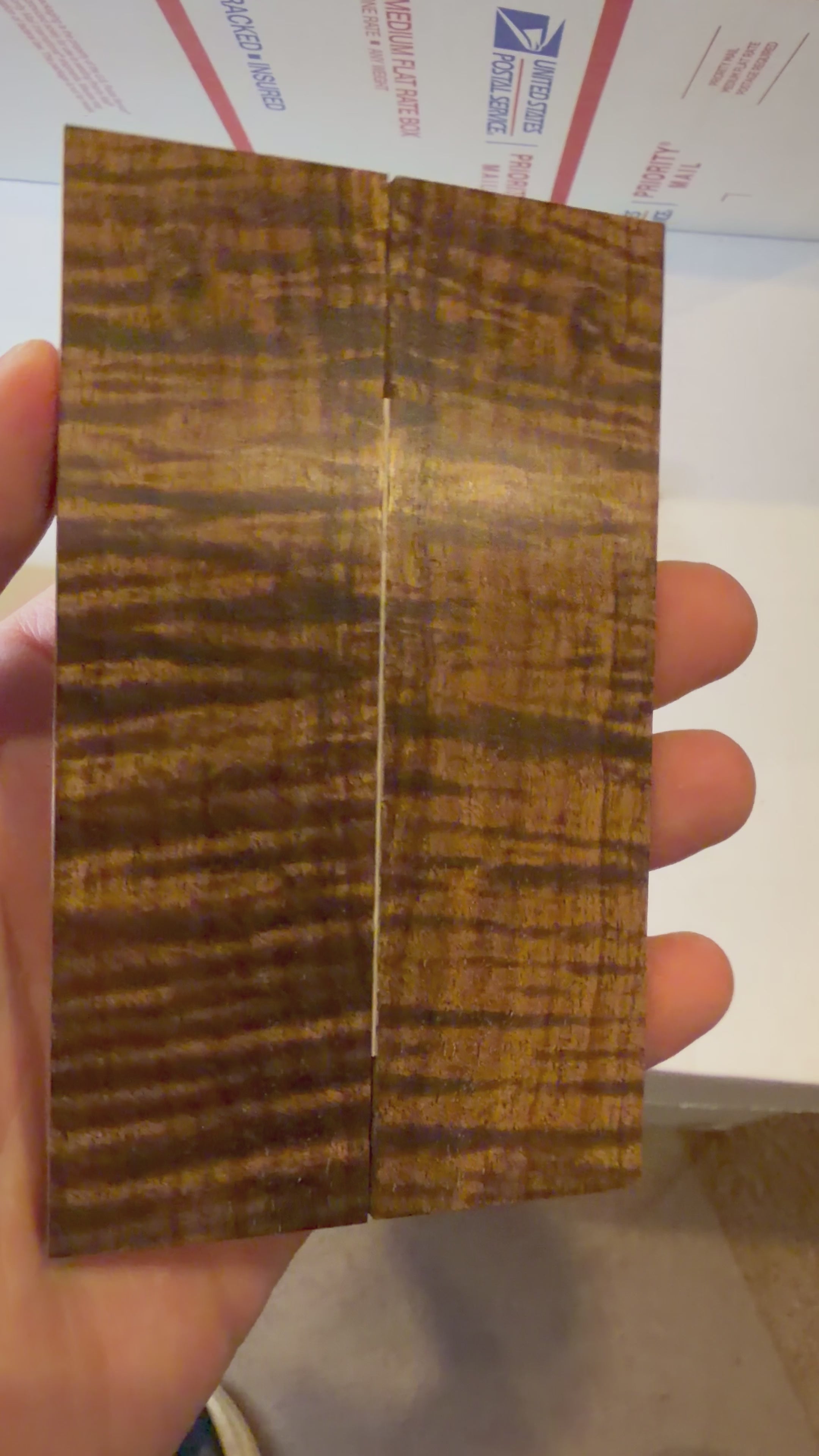 Tasmanian Blackwood | #0490