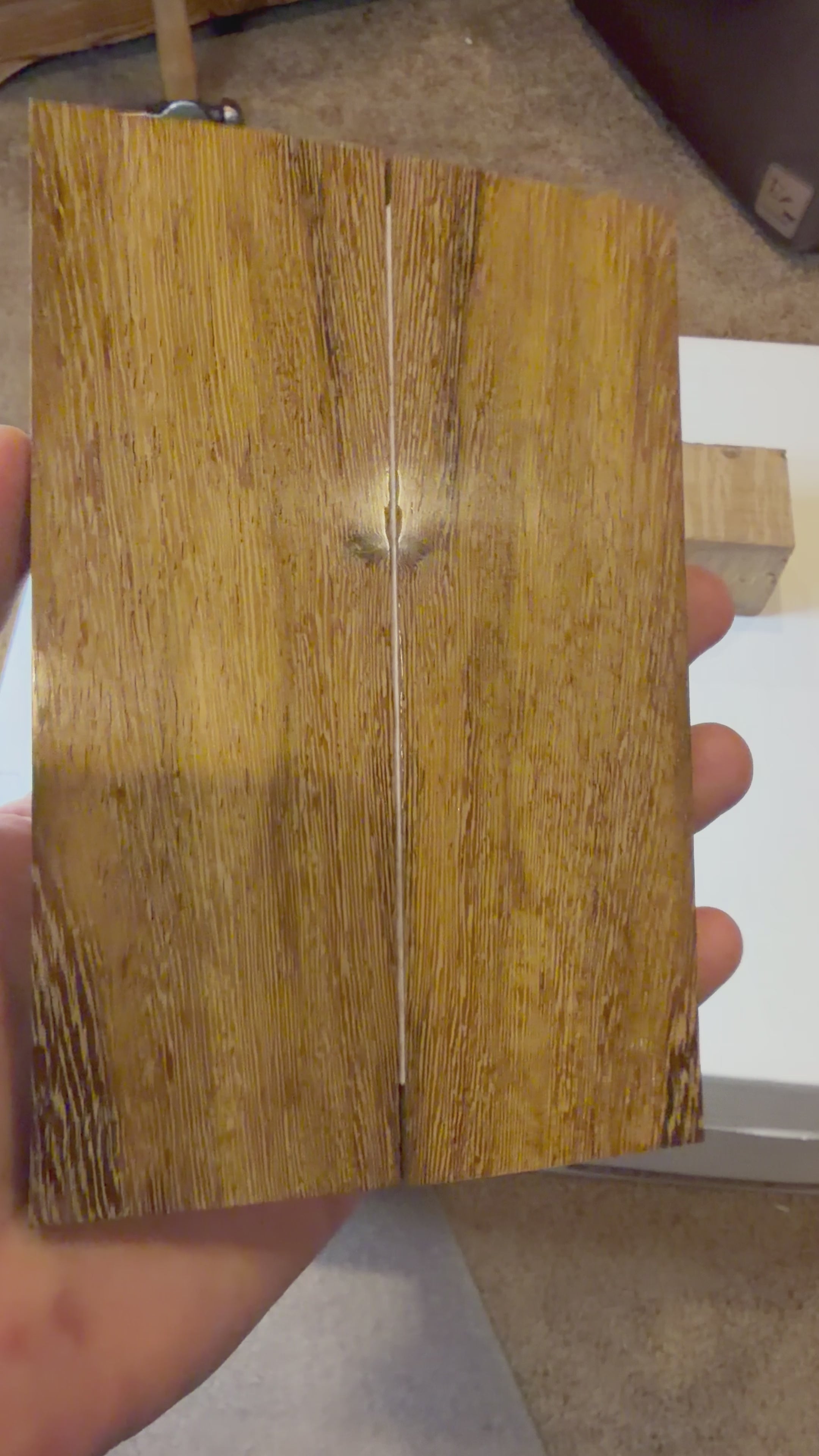 Pheasant Wood | #0132