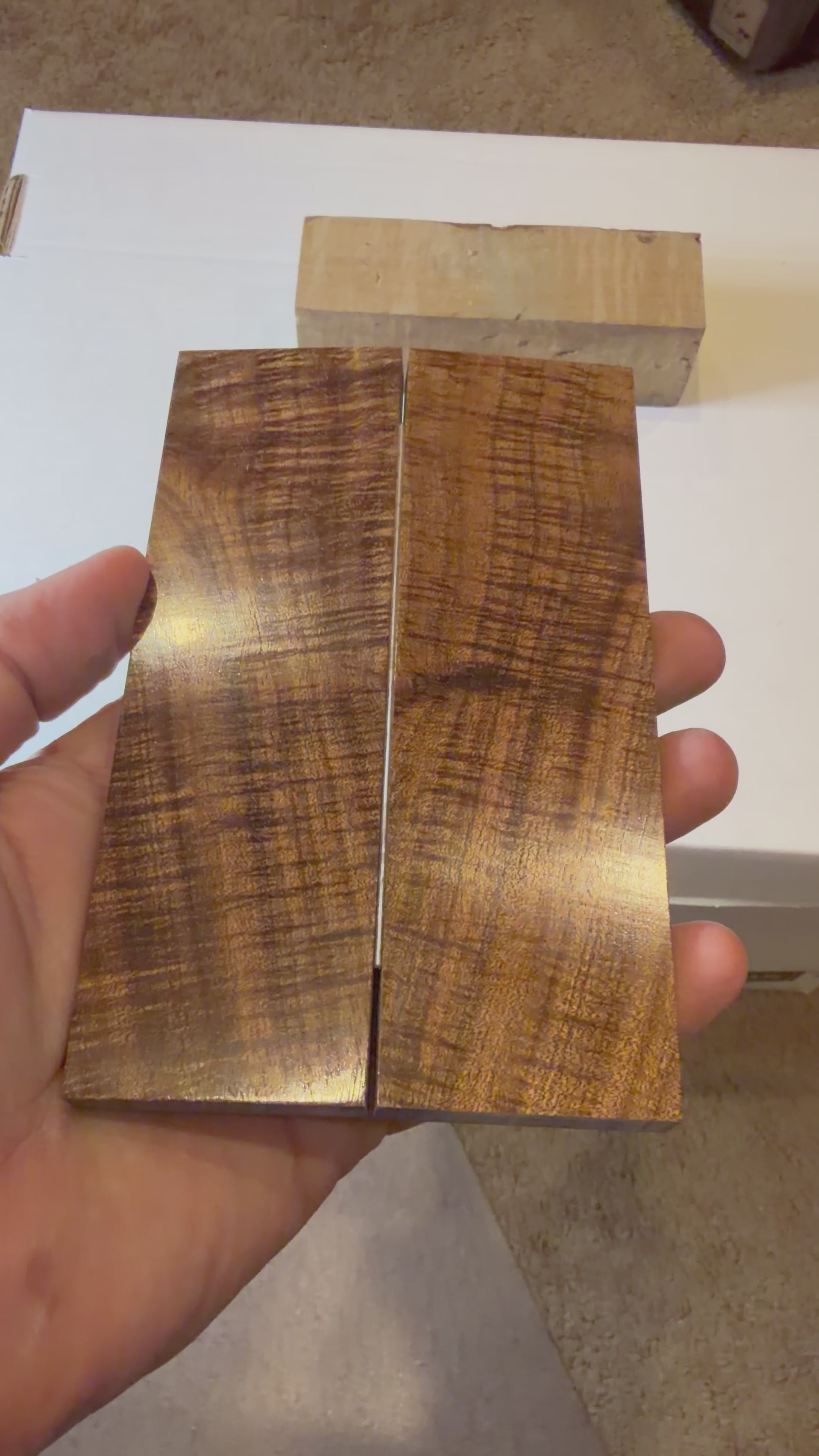 Tasmanian Blackwood | #0140