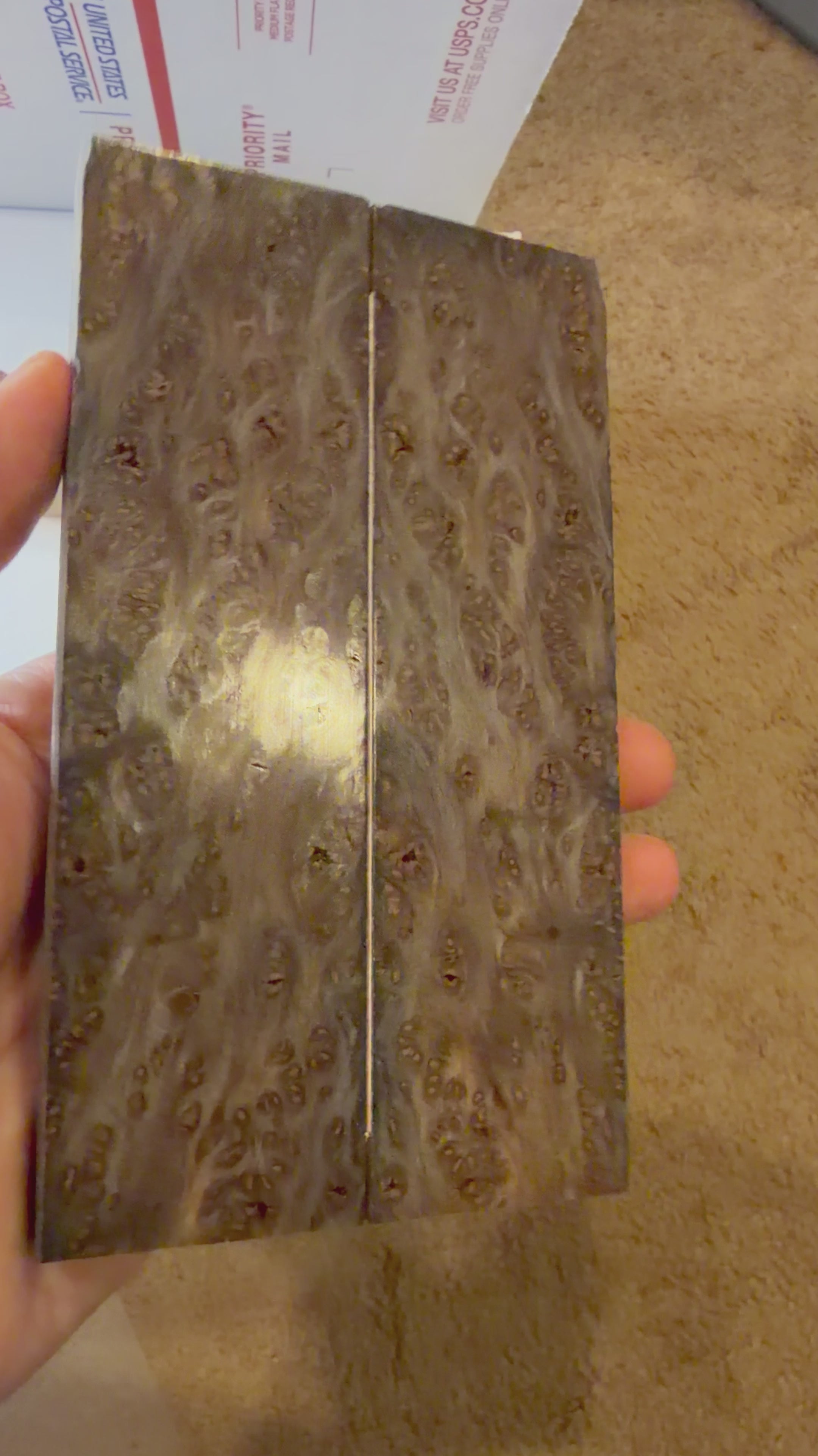 Redwood Burl | #0311