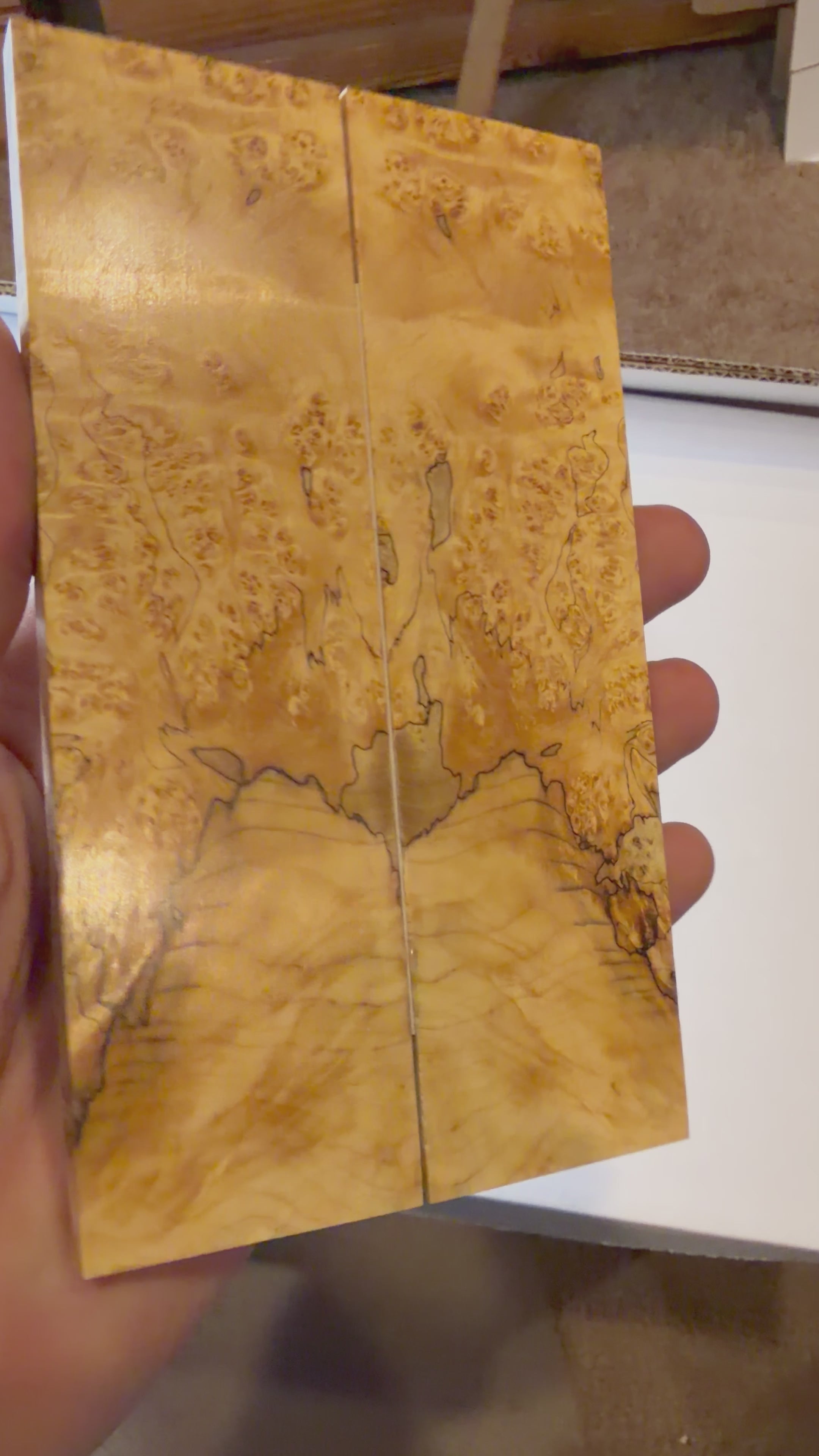 Boxelder Burl | #0386