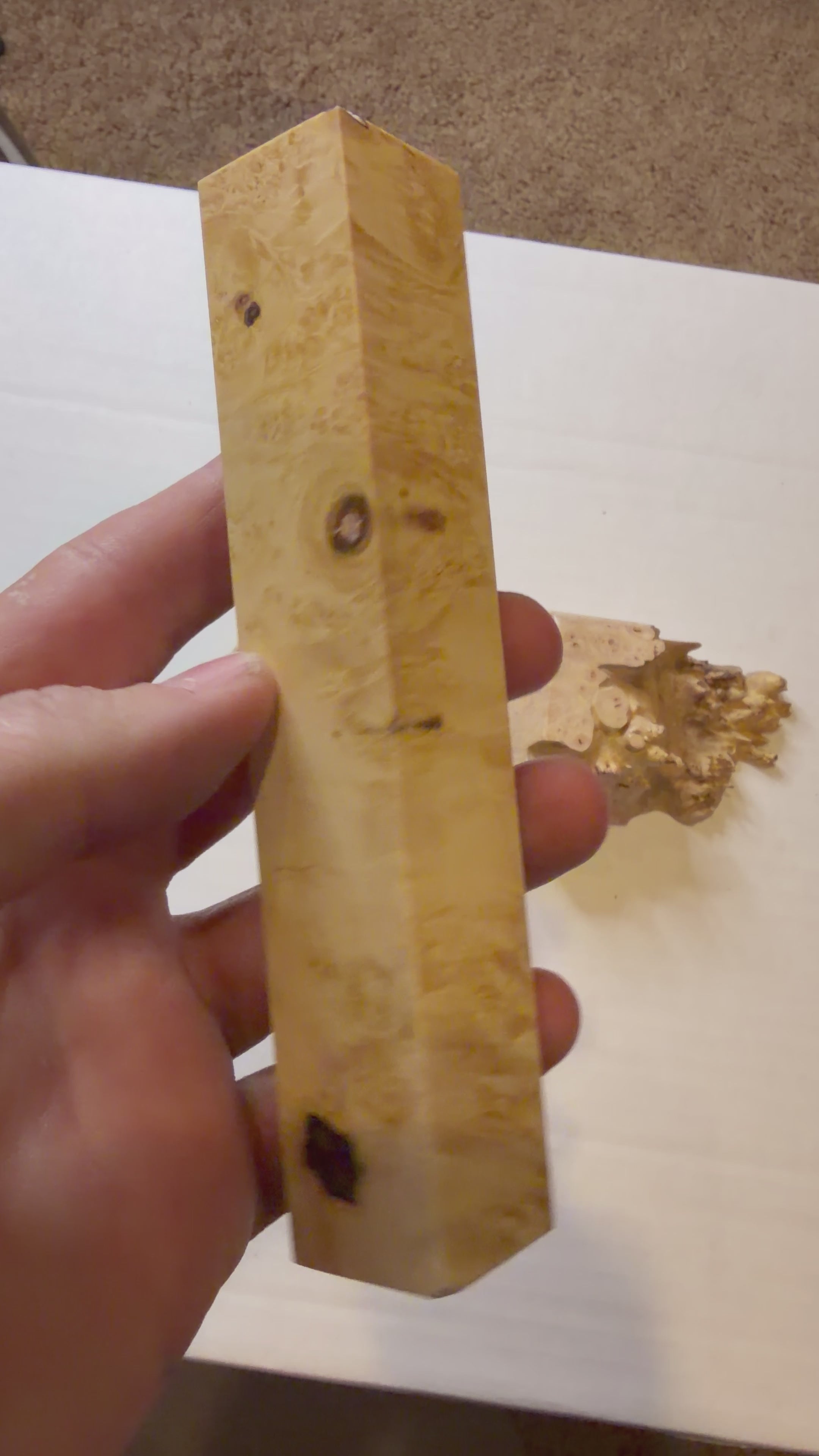 Boxelder Burl | #0206