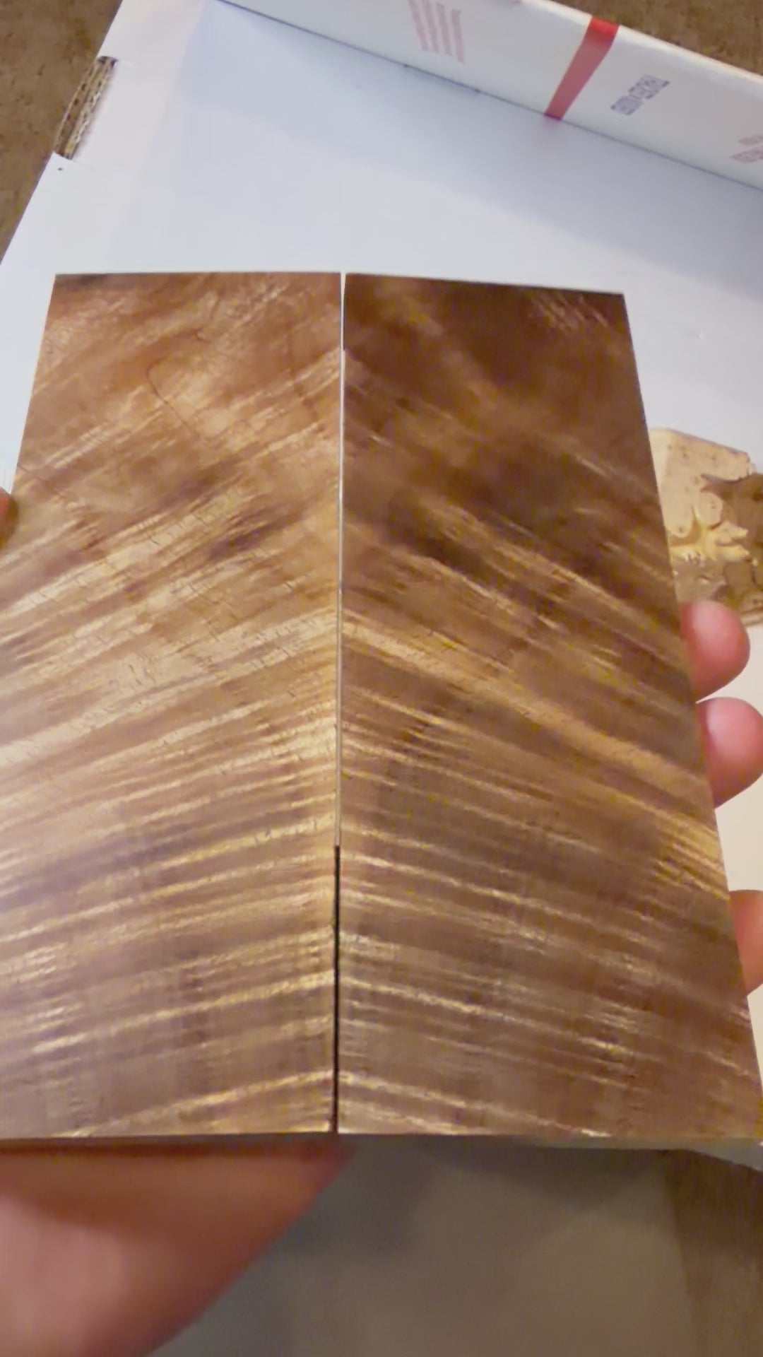 Tasmanian Blackwood | #0484