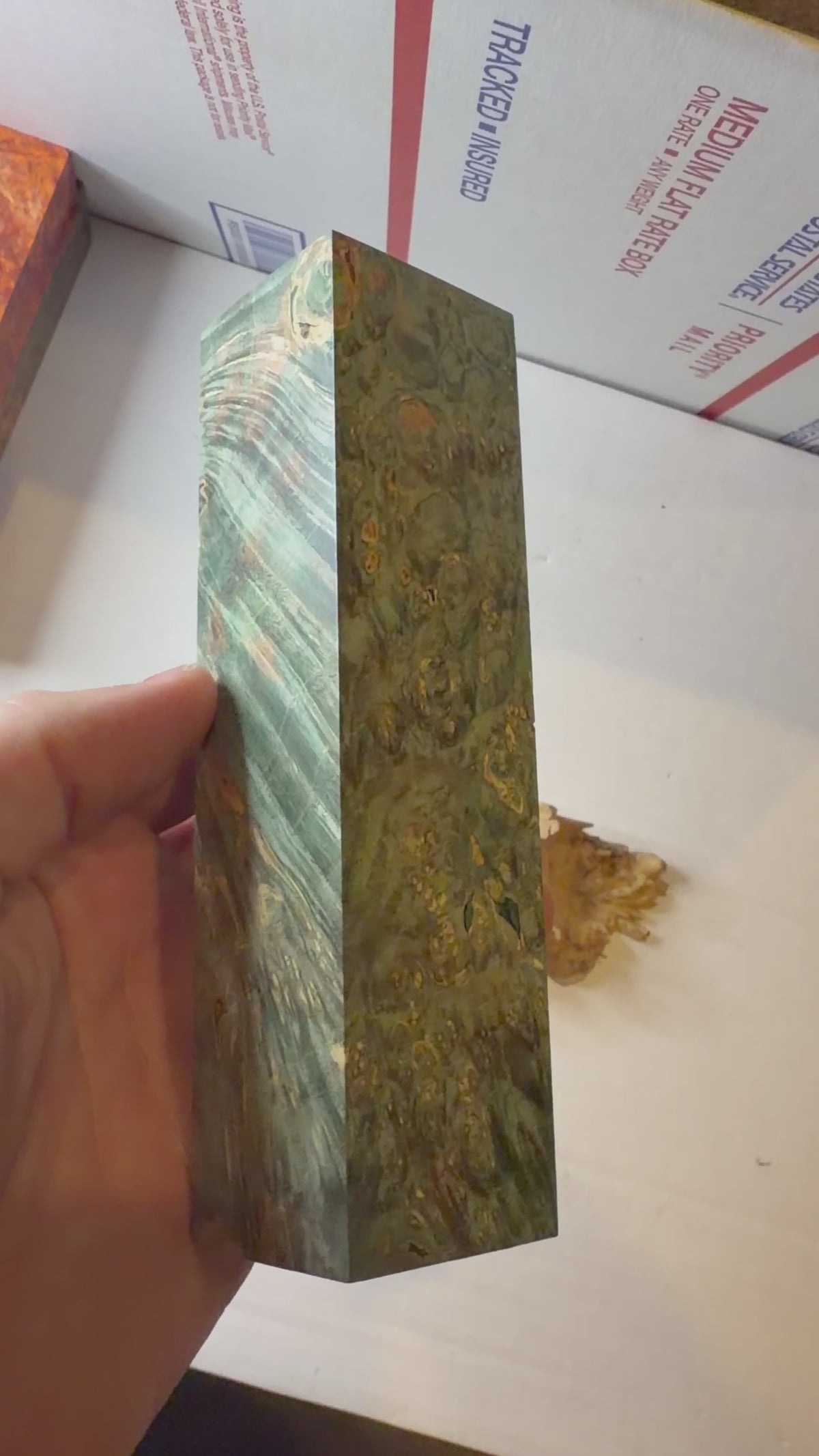 Boxelder Burl | #0639