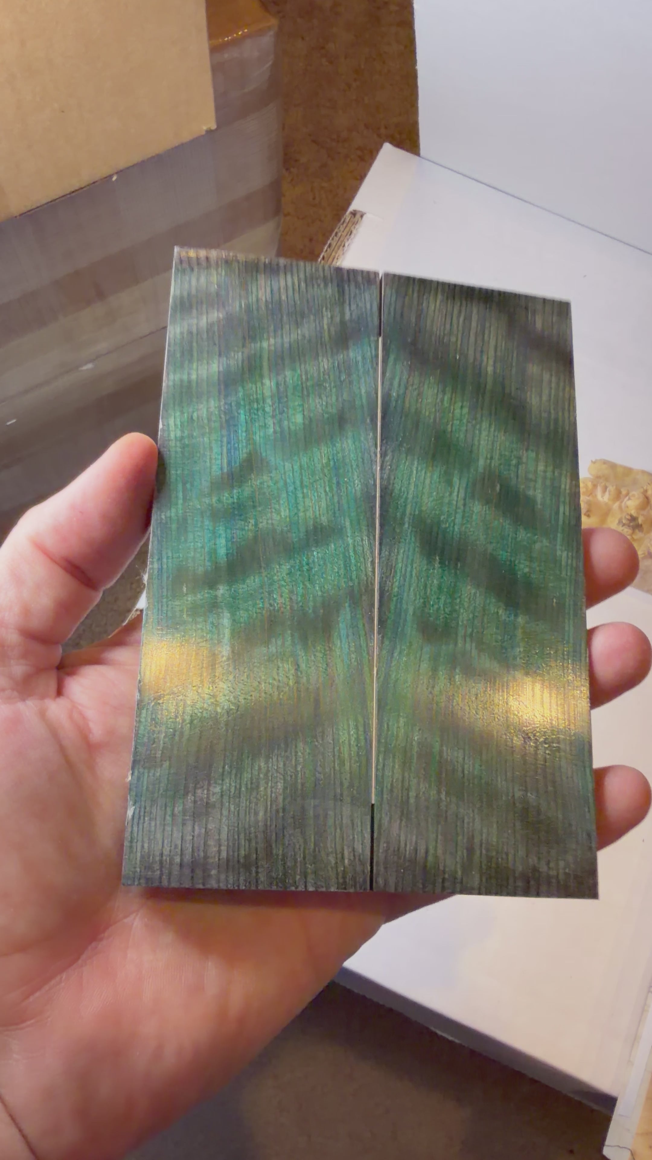 Redwood | #0562