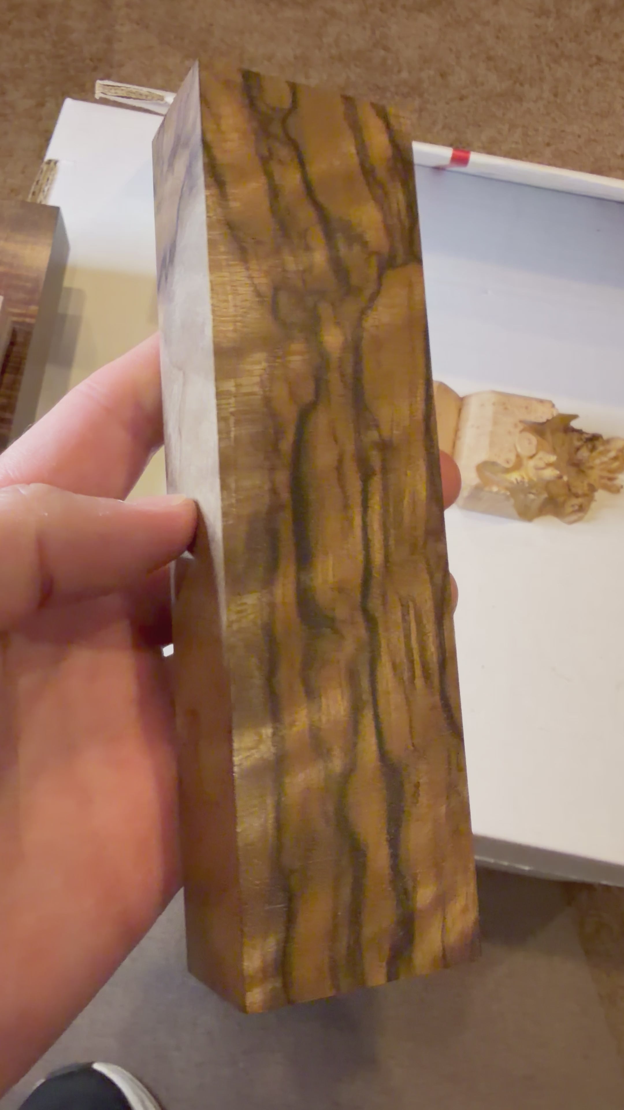 Turkish Walnut | #0502
