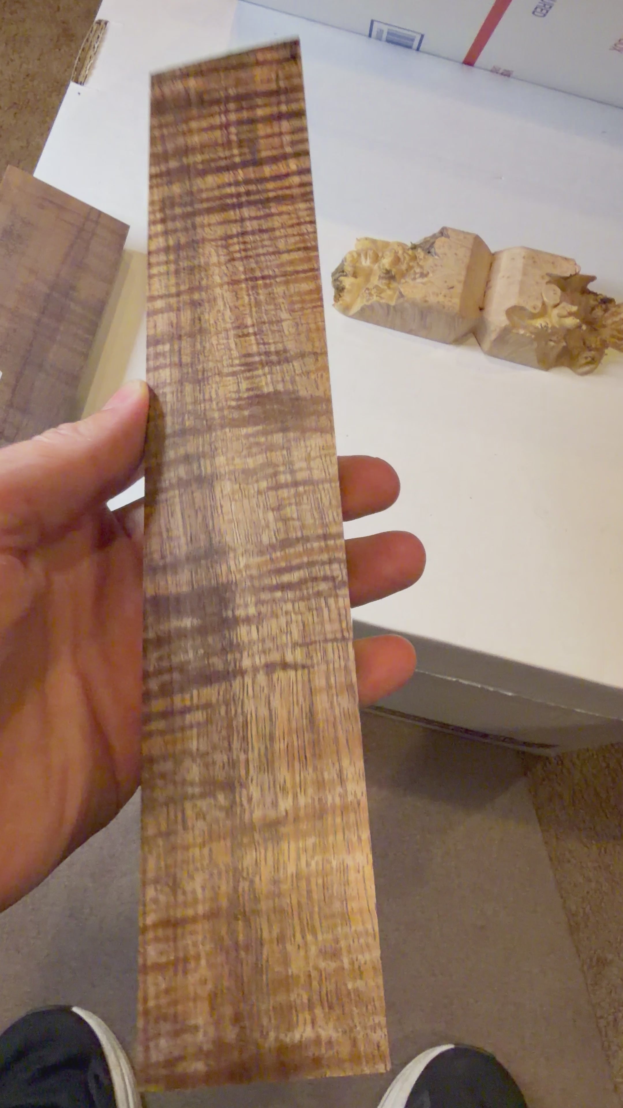 Tasmanian Blackwood | #0509