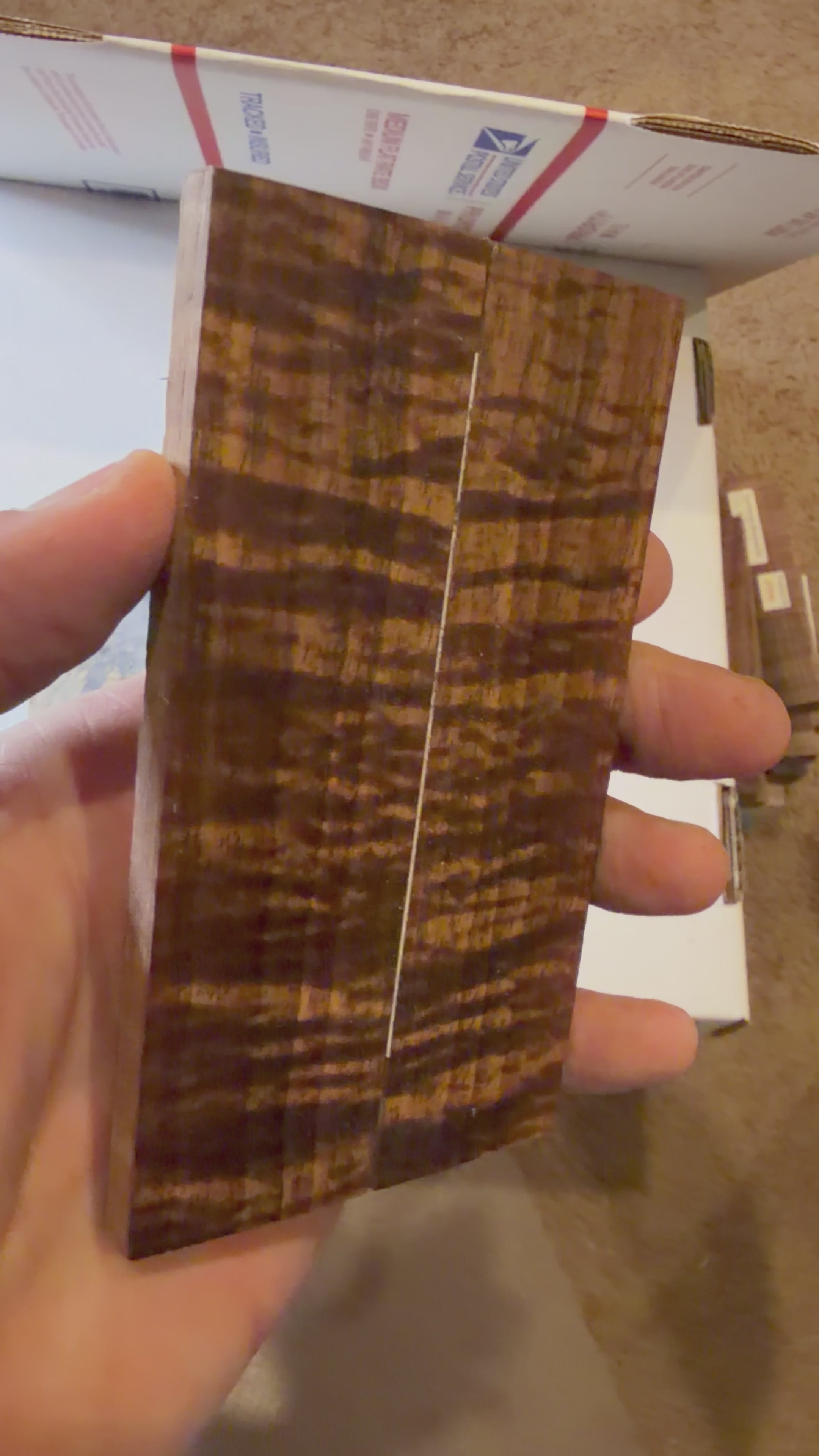 Tasmanian Blackwood | #0475