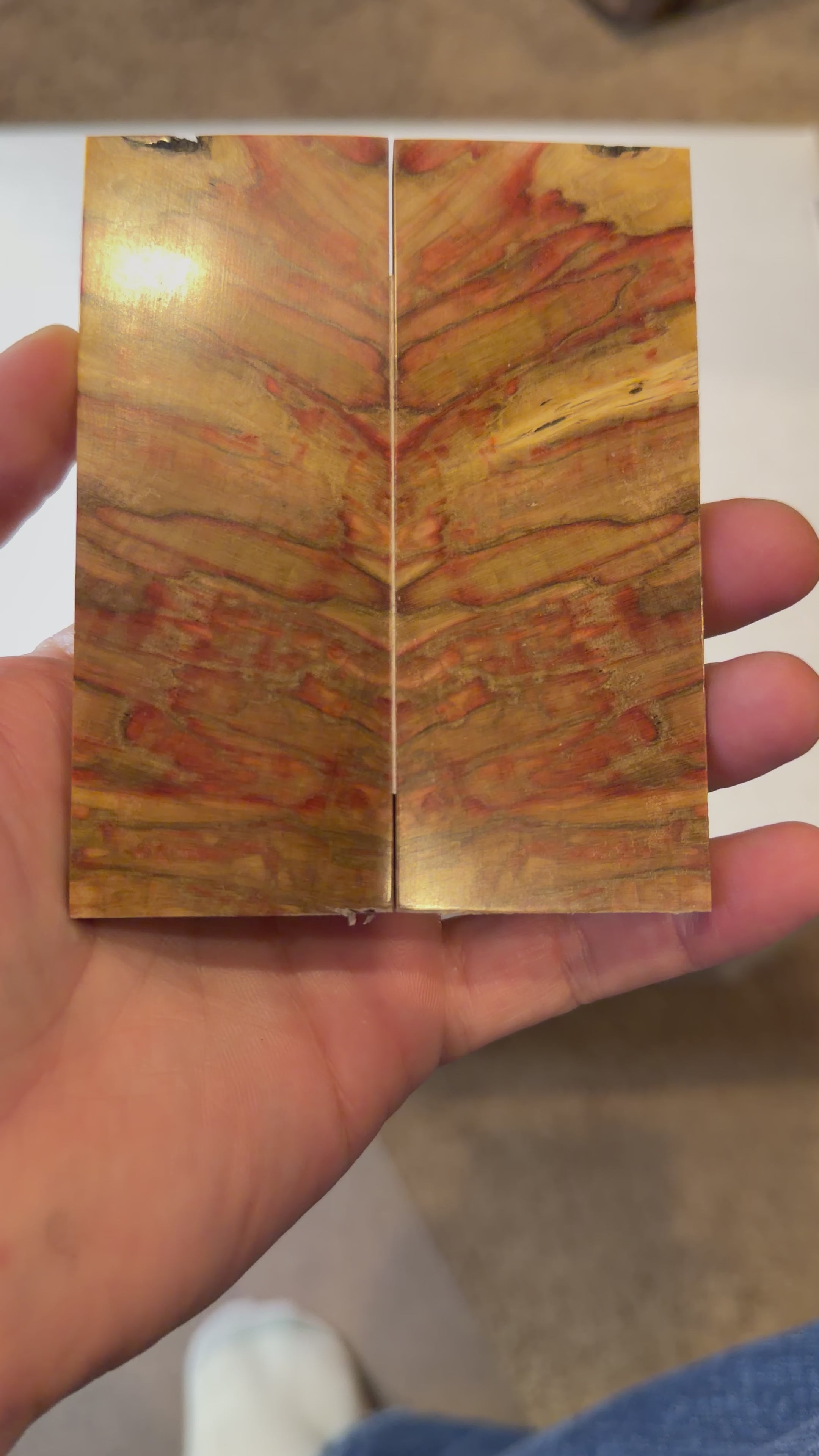 Boxelder | #0185
