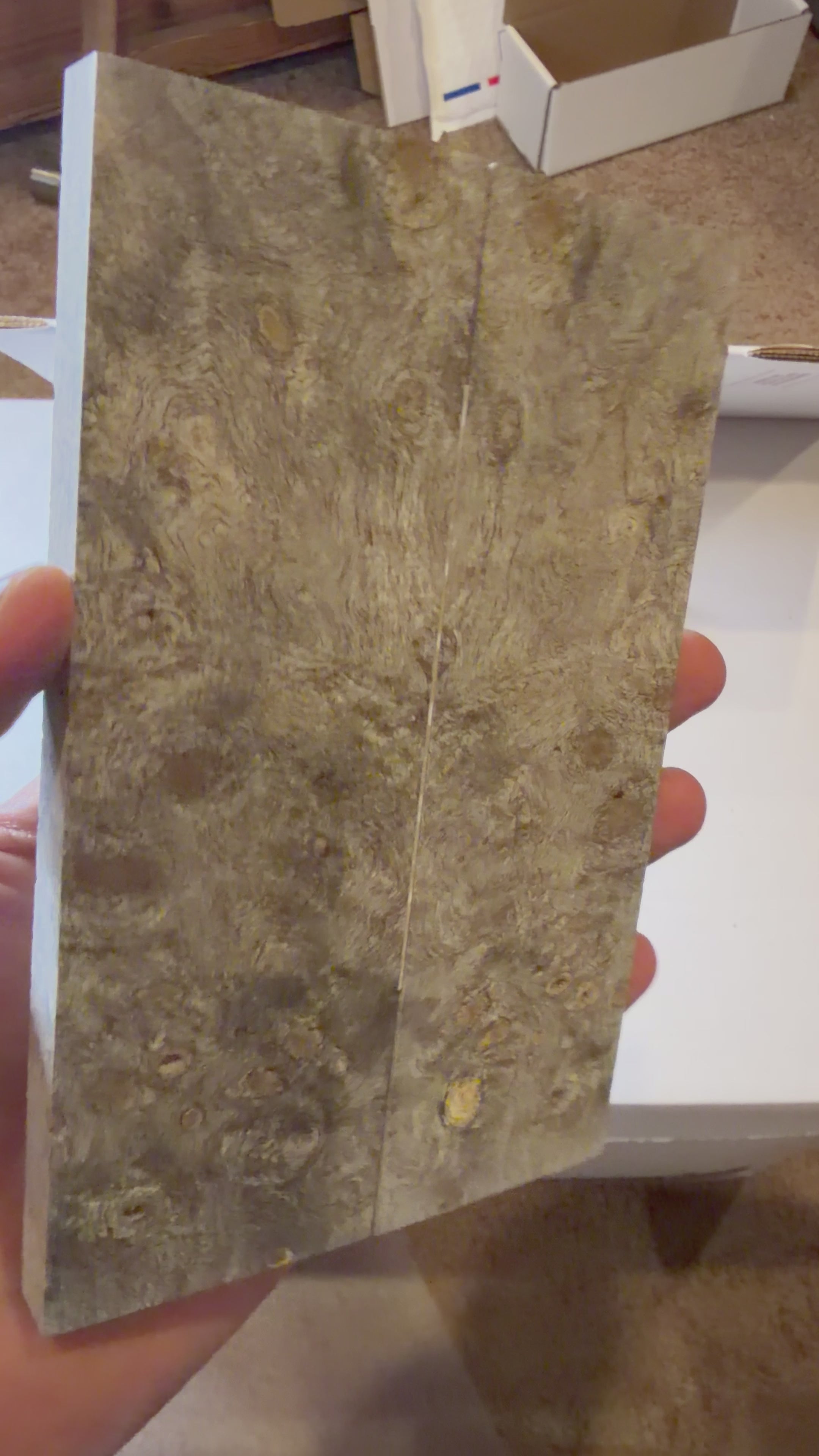 Buckeye Burl | #0354