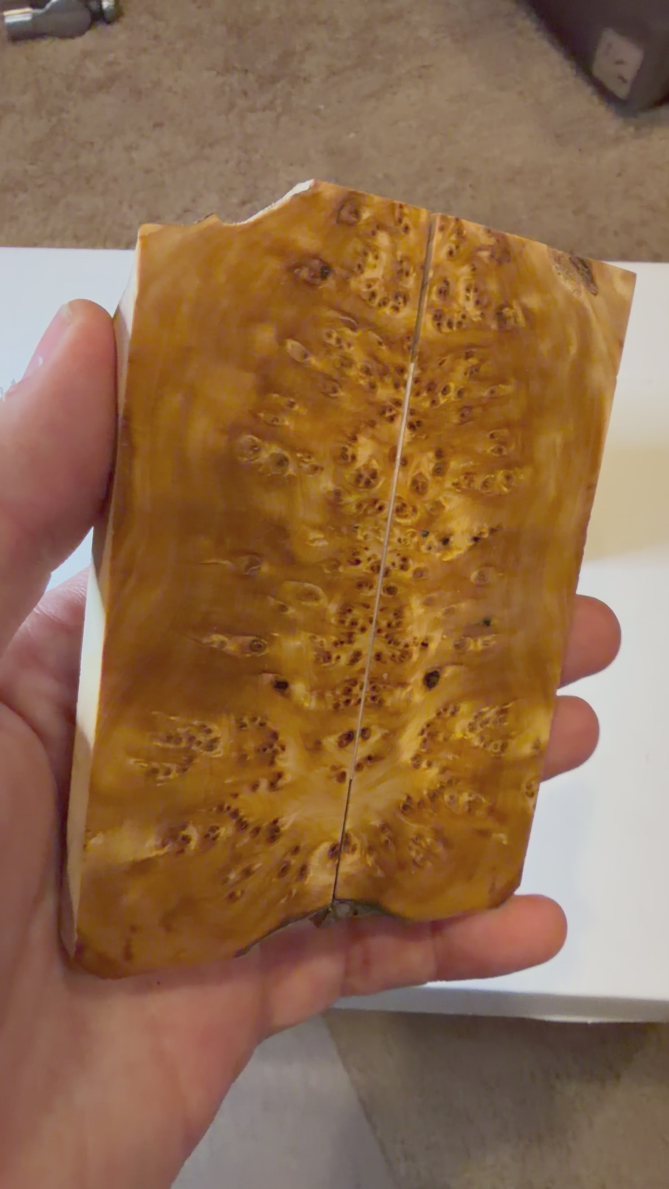 Yellow Cedar Burl | #0176