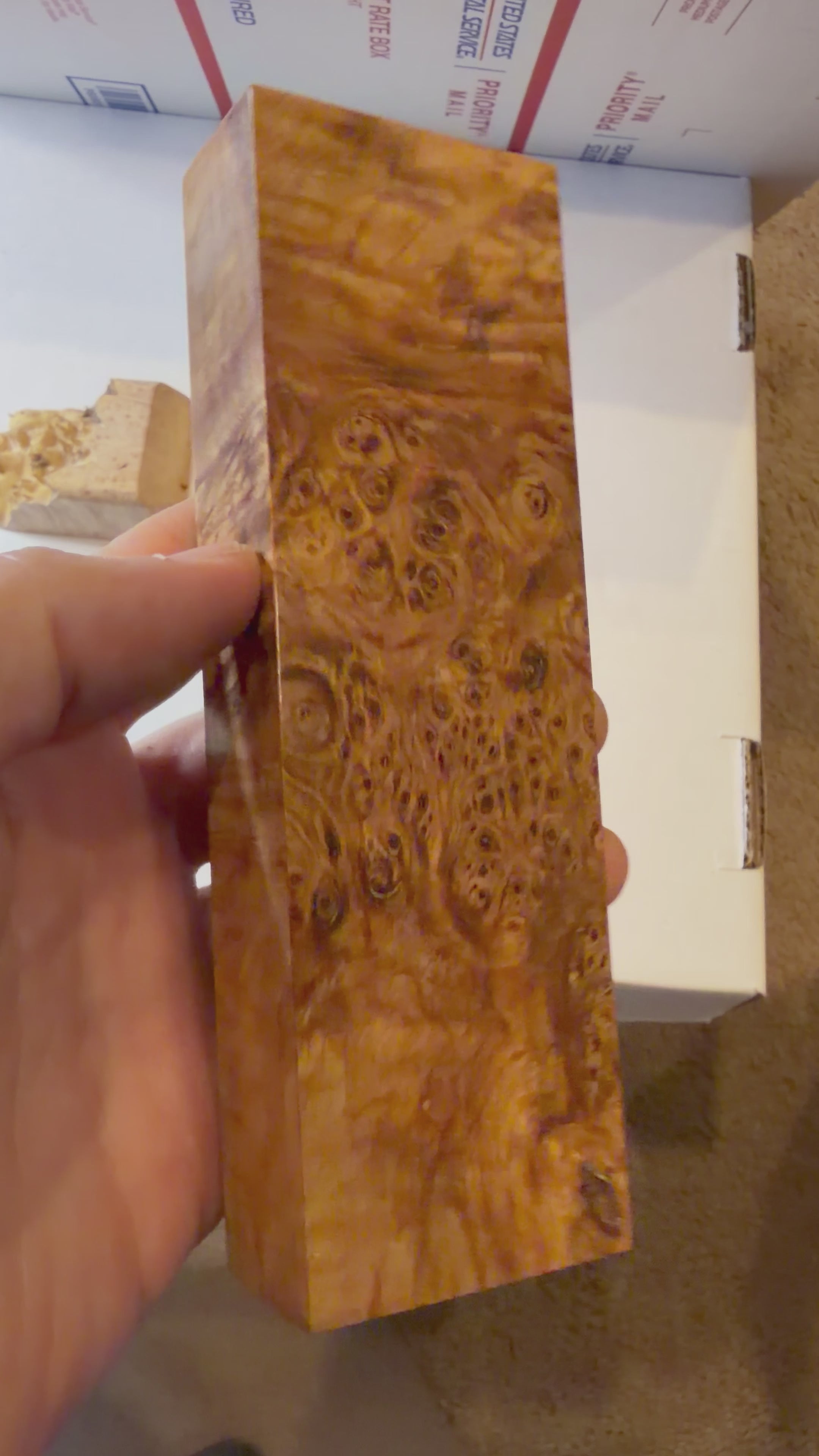 Birch Burl | #0288