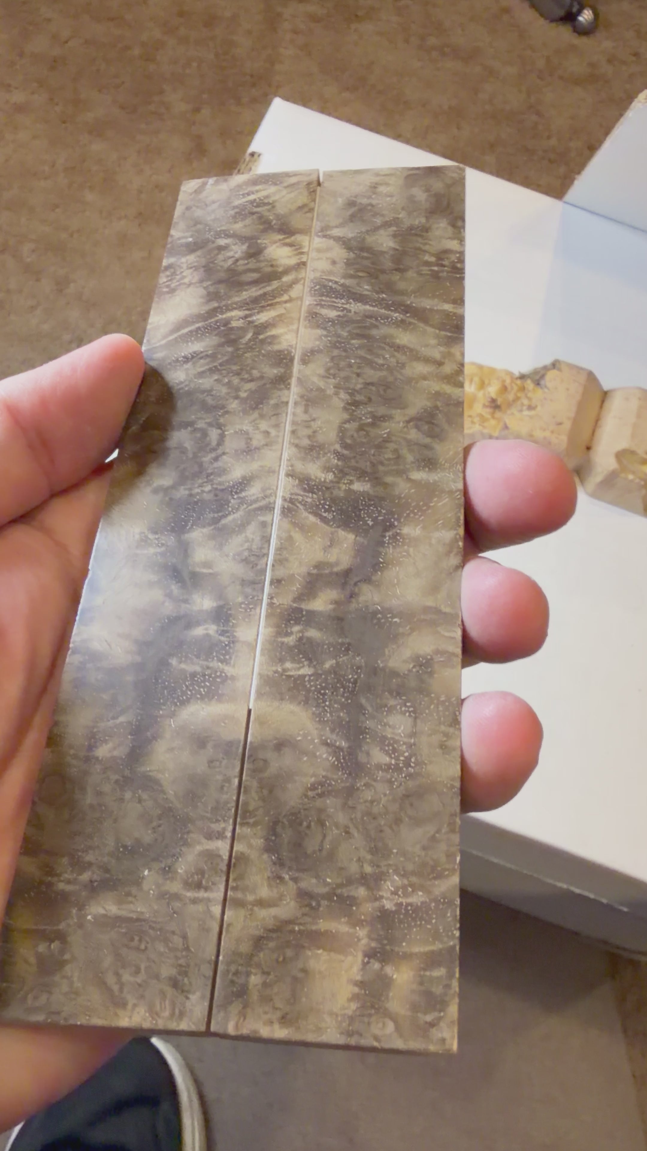 Turkish Walnut | #0489