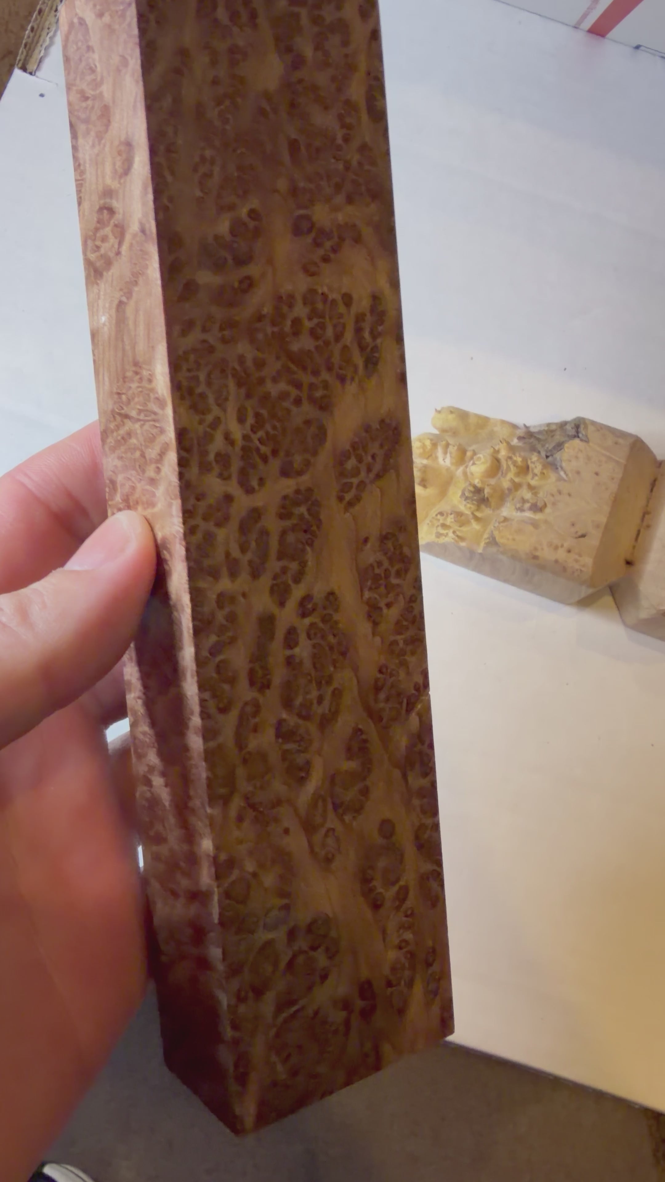 Redwood Burl | #0533