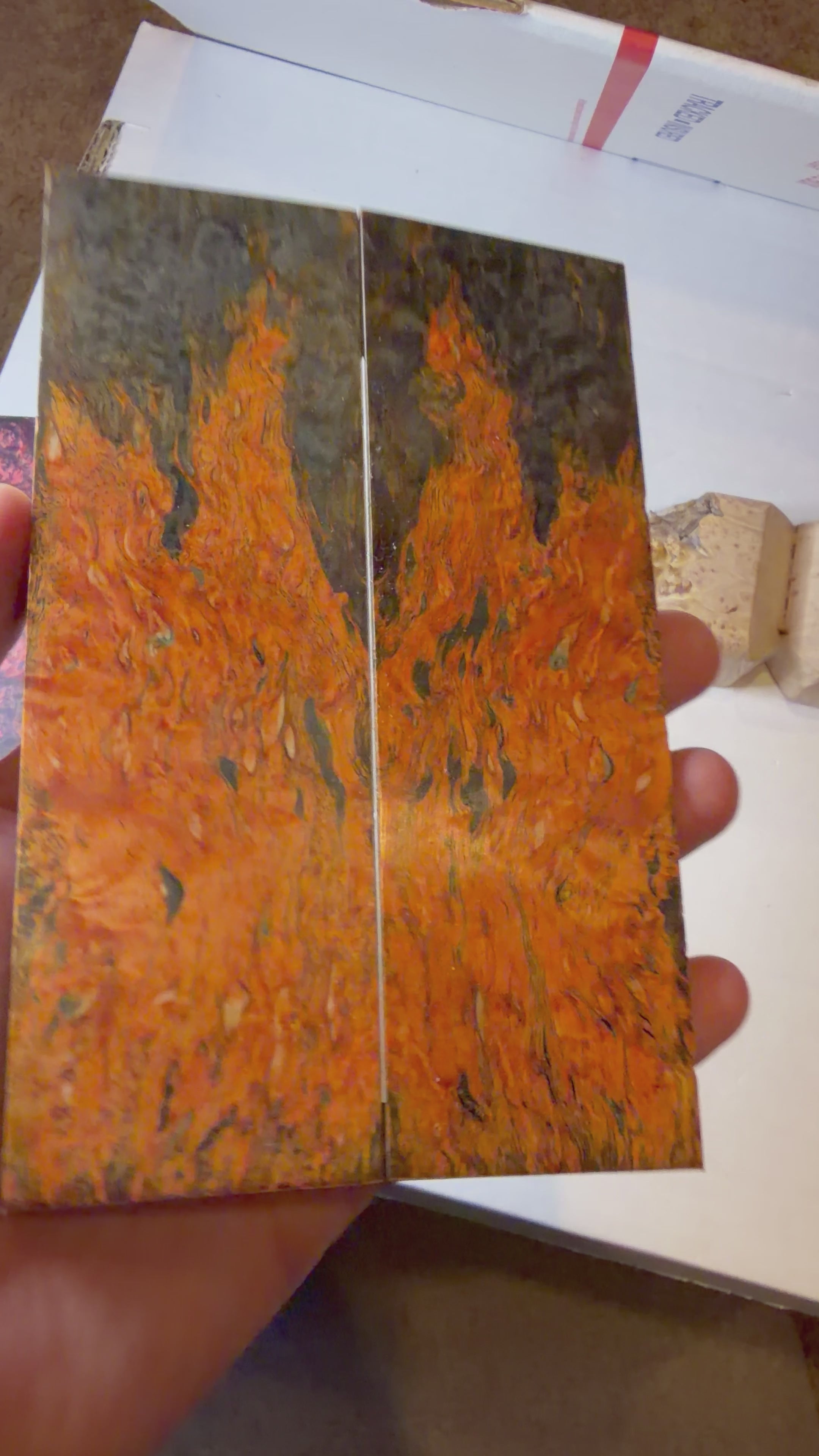 Karelian Birch |#0541