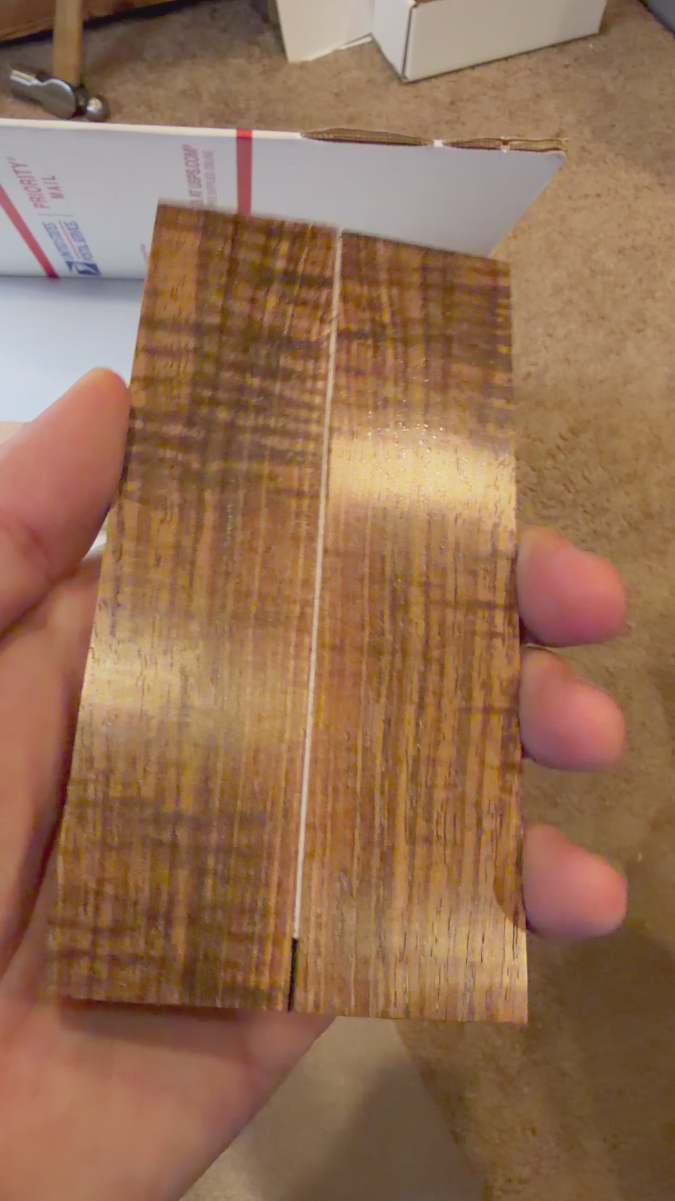 Tasmanian Blackwood | #0448