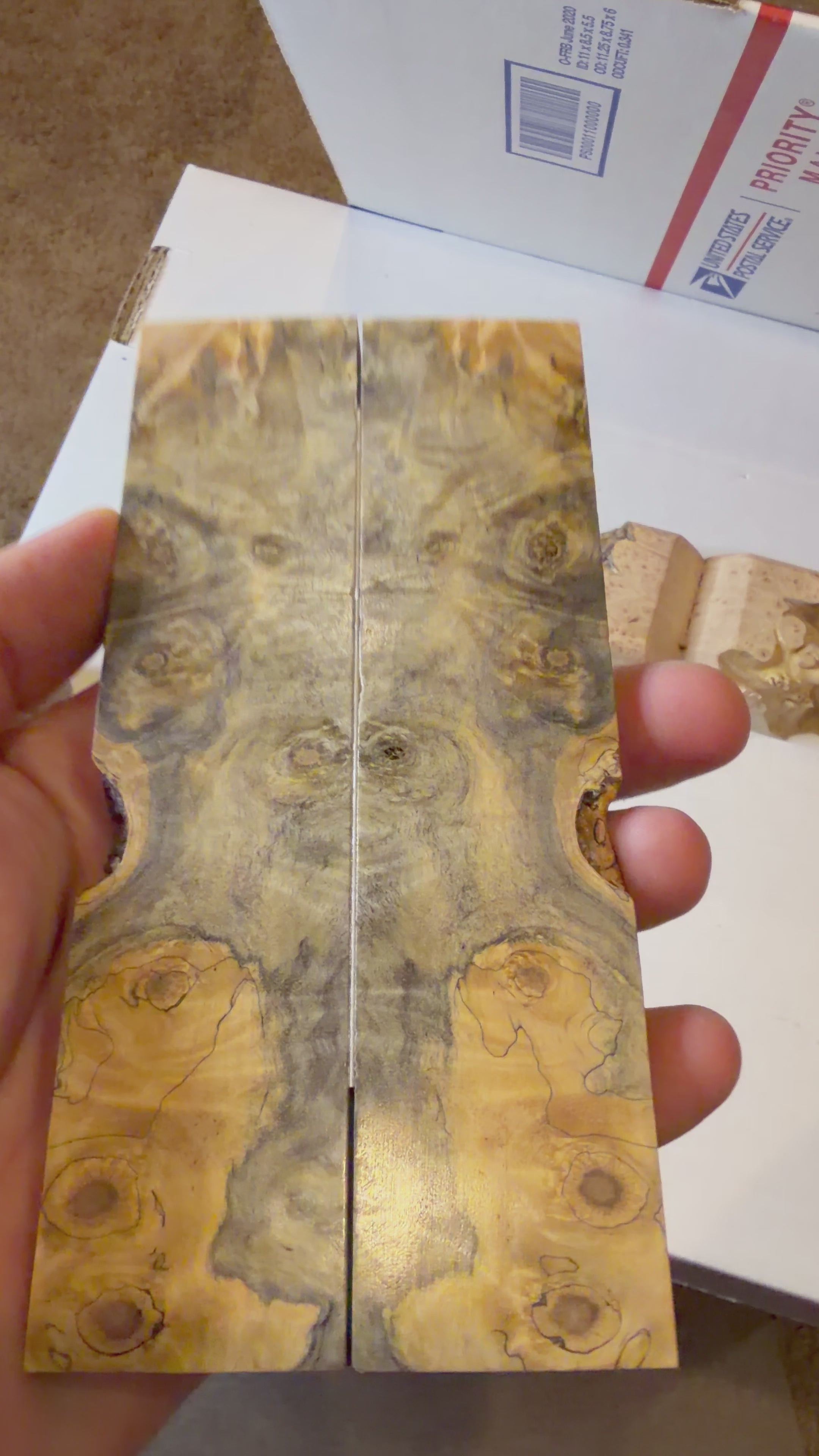 Buckeye Burl | #0521