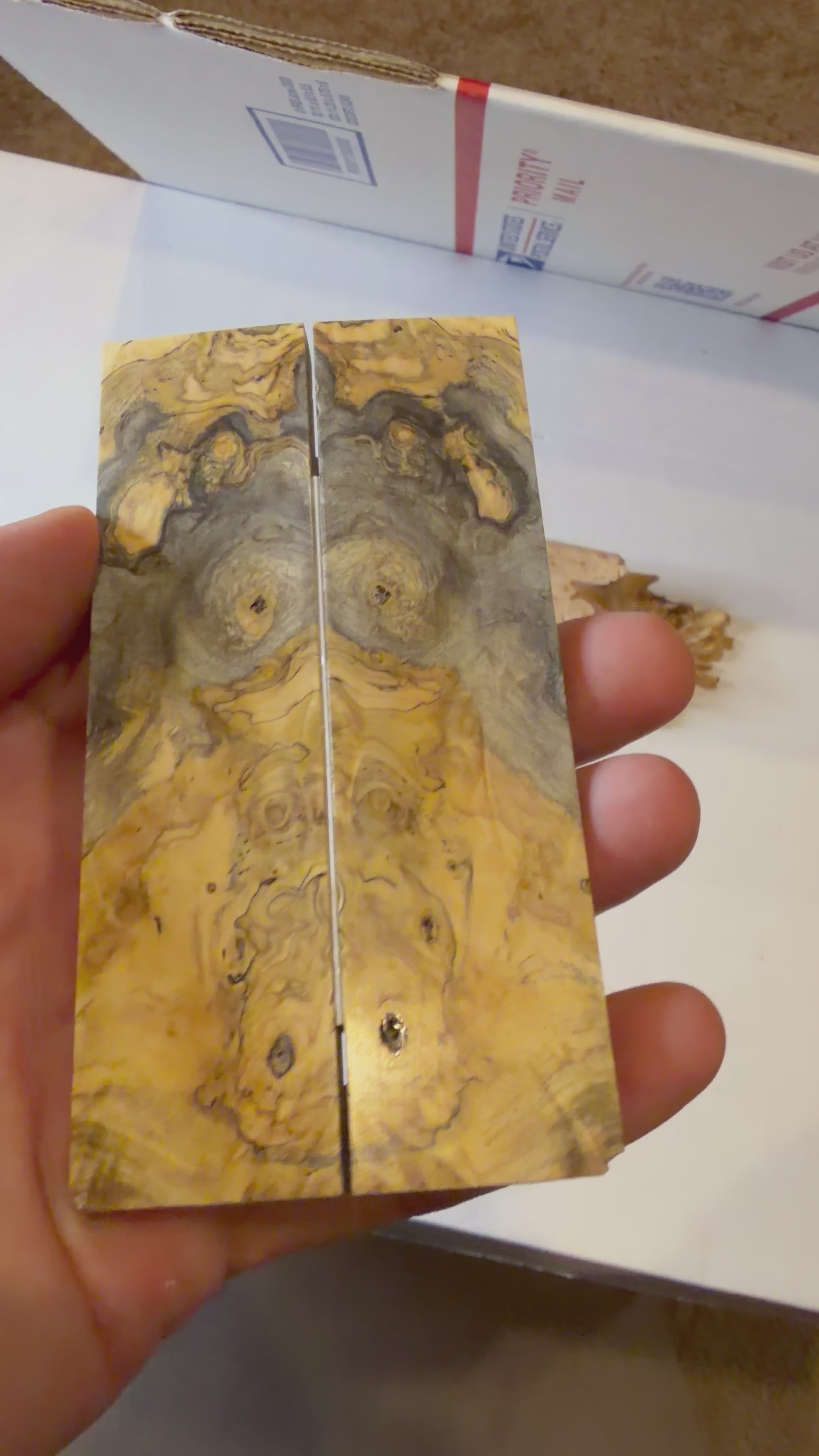 Buckeye Burl | #0526