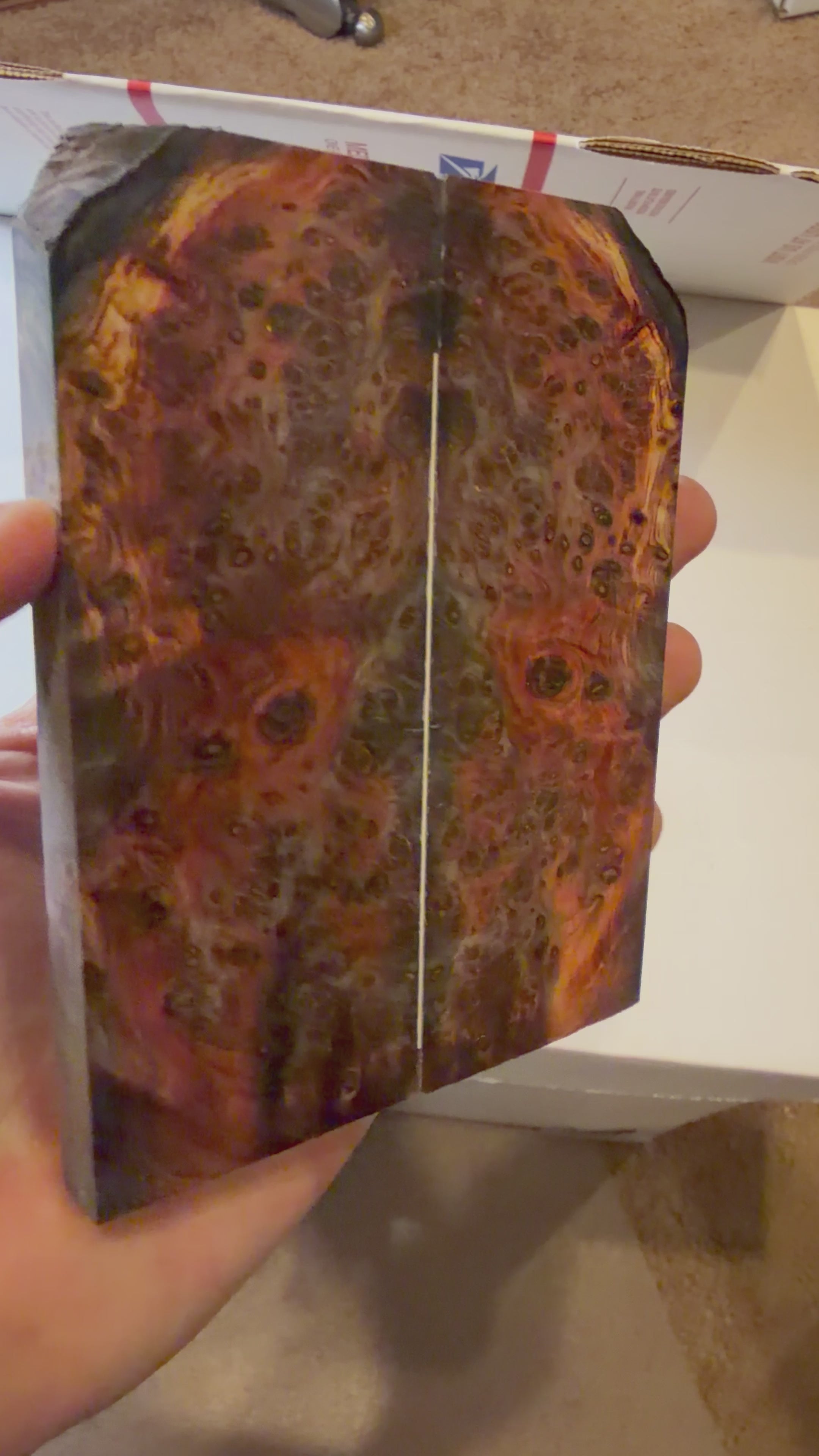 Yellow Cedar Burl | #0468