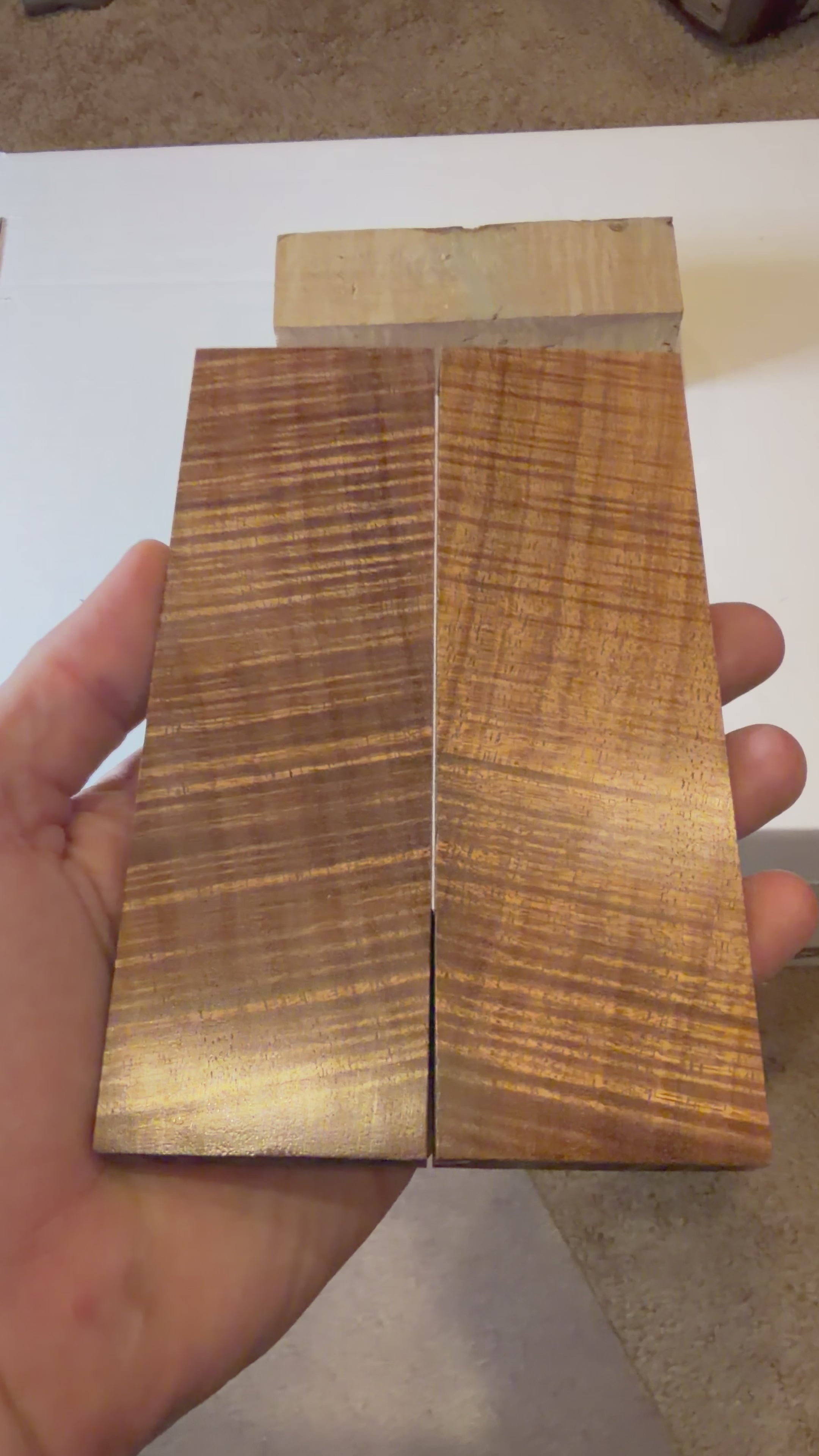 Tasmanian Blackwood | #0144