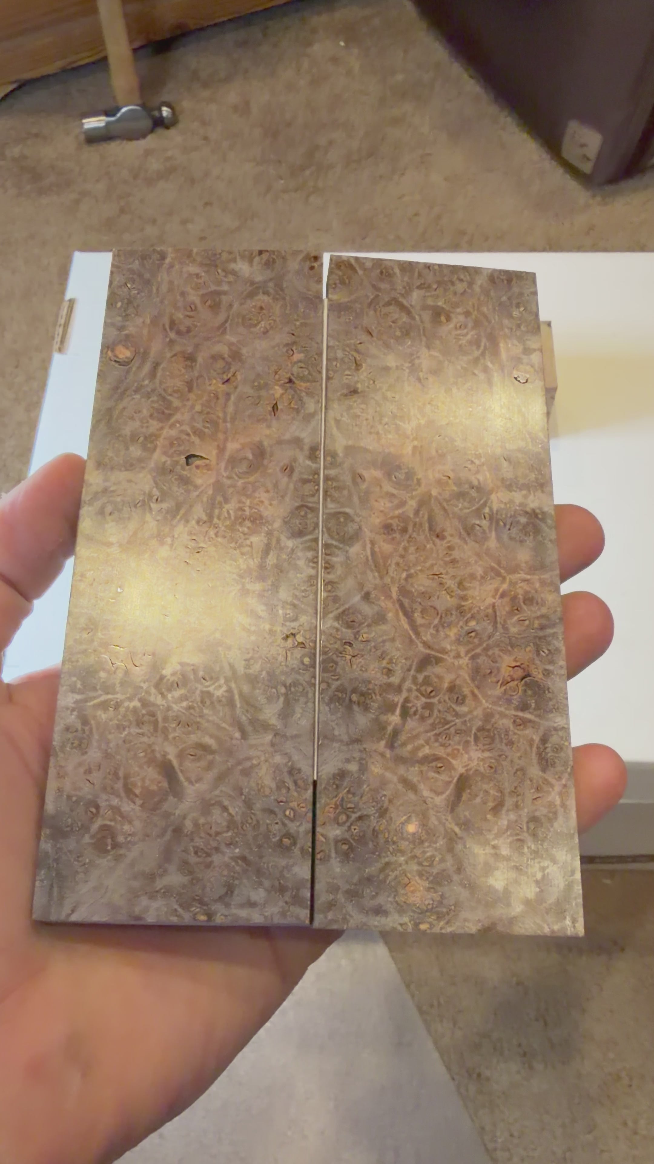 Maple Burl | #0137