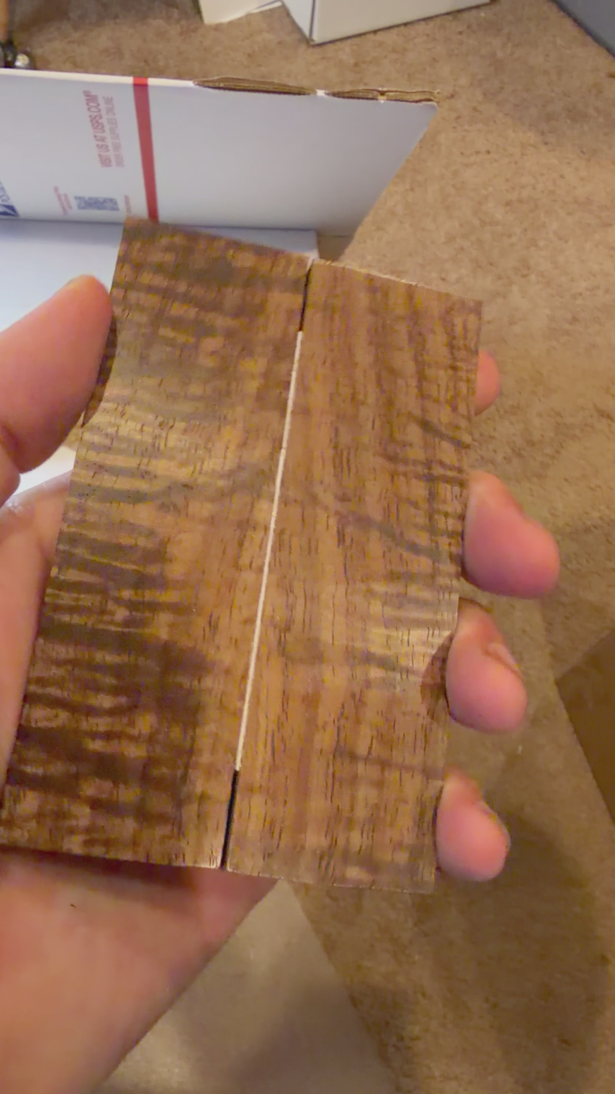 Tasmanian Blackwood | #0447