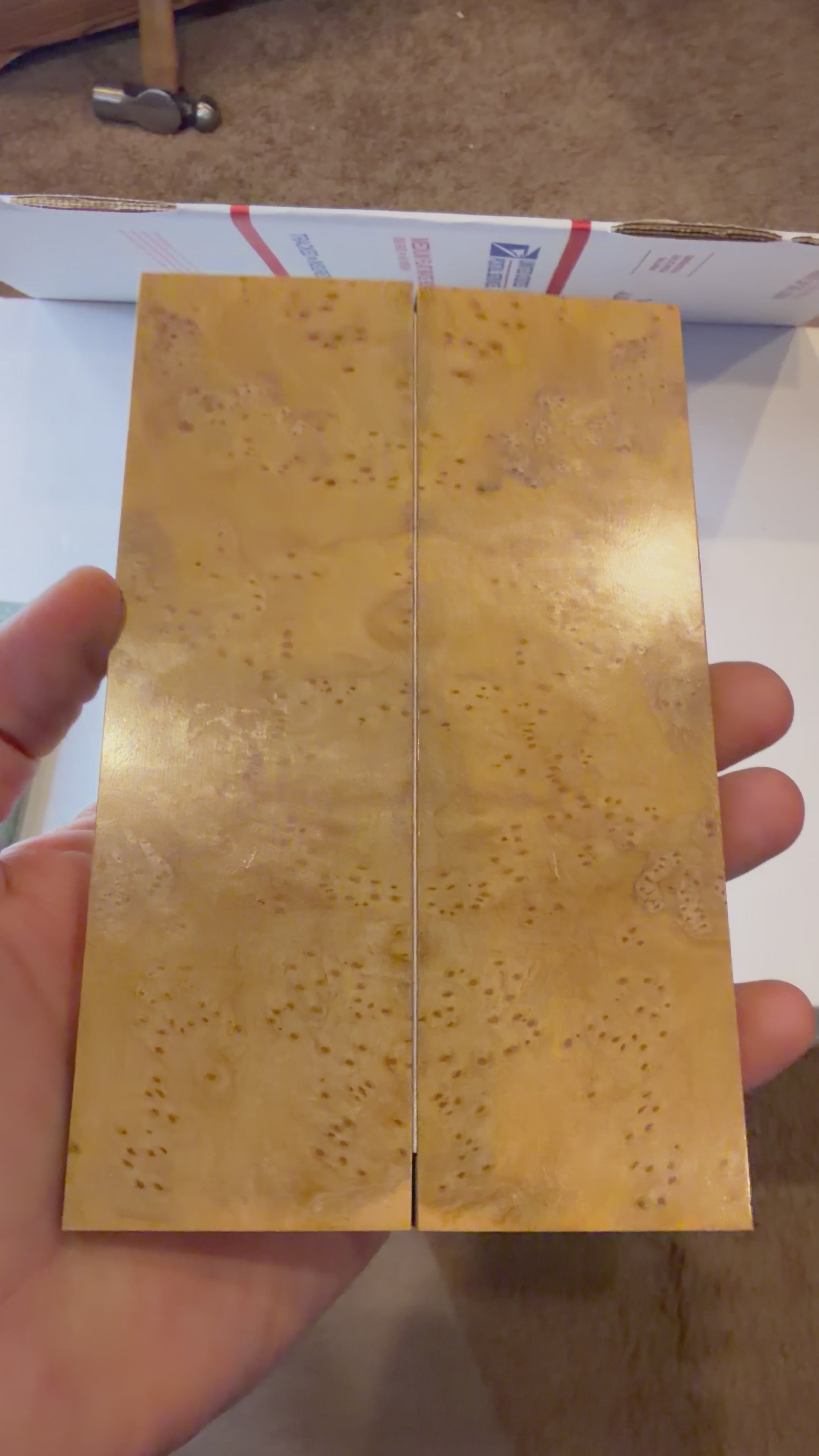 Cheesewood Burl | #0329