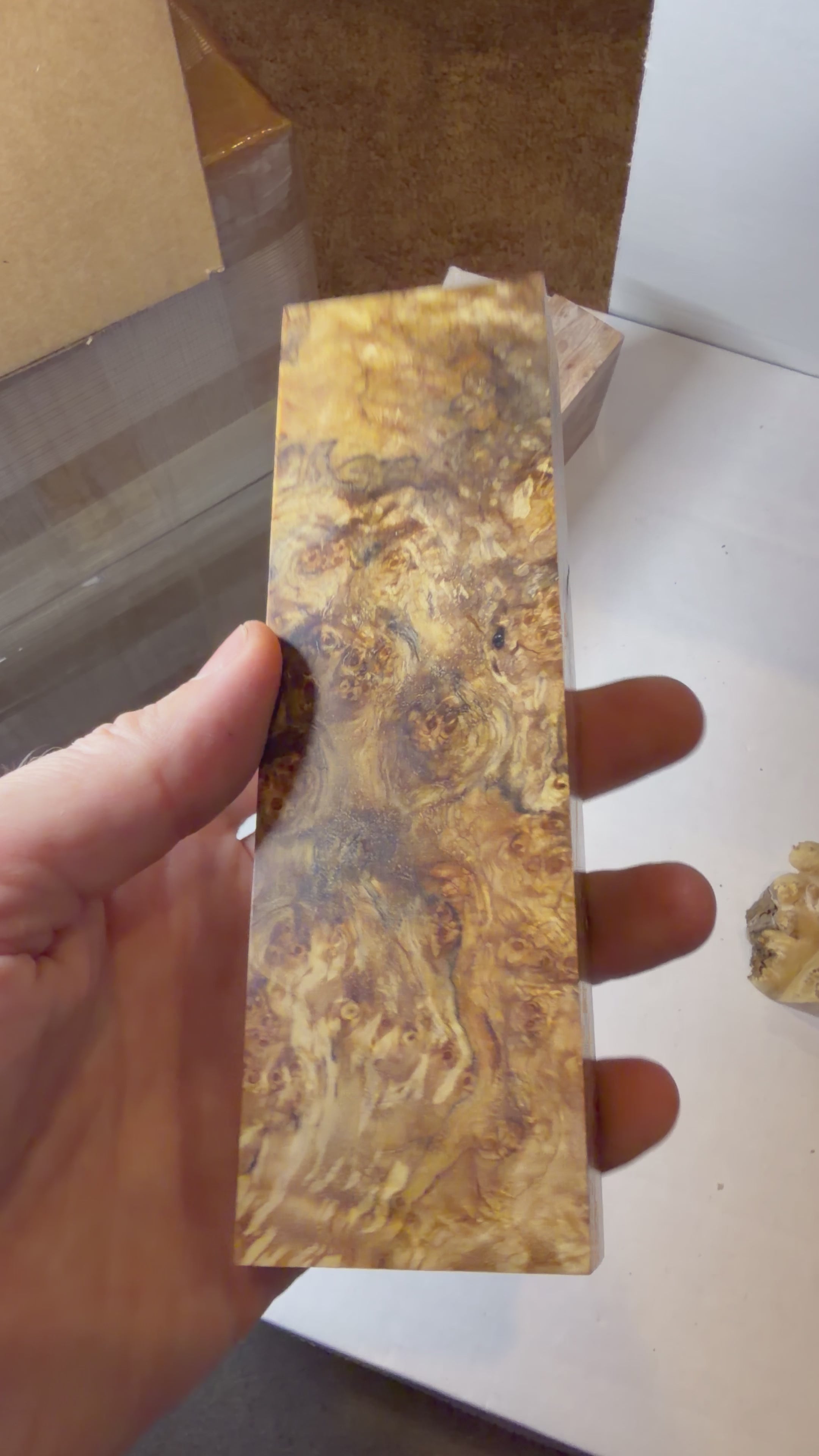 Birch Burl | #0590
