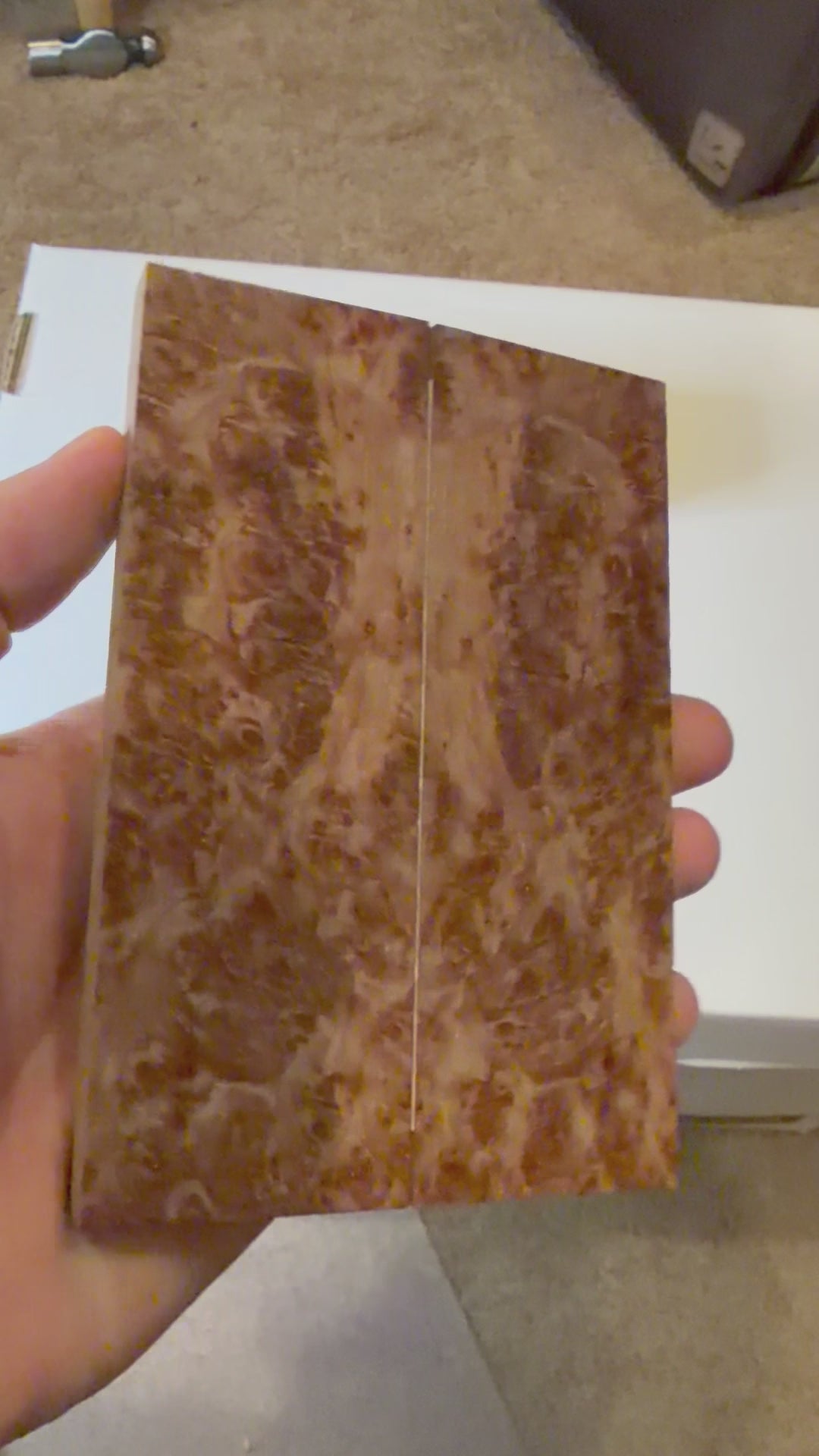 Redwood Burl | #0118