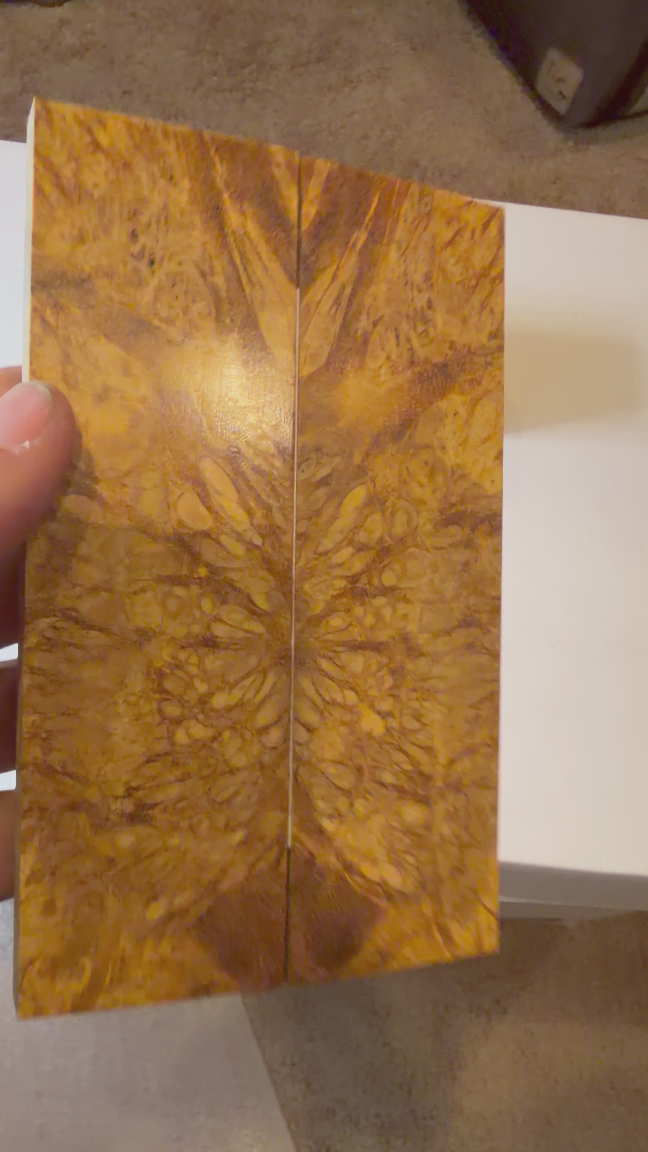 River Tamarind Burl | #0162