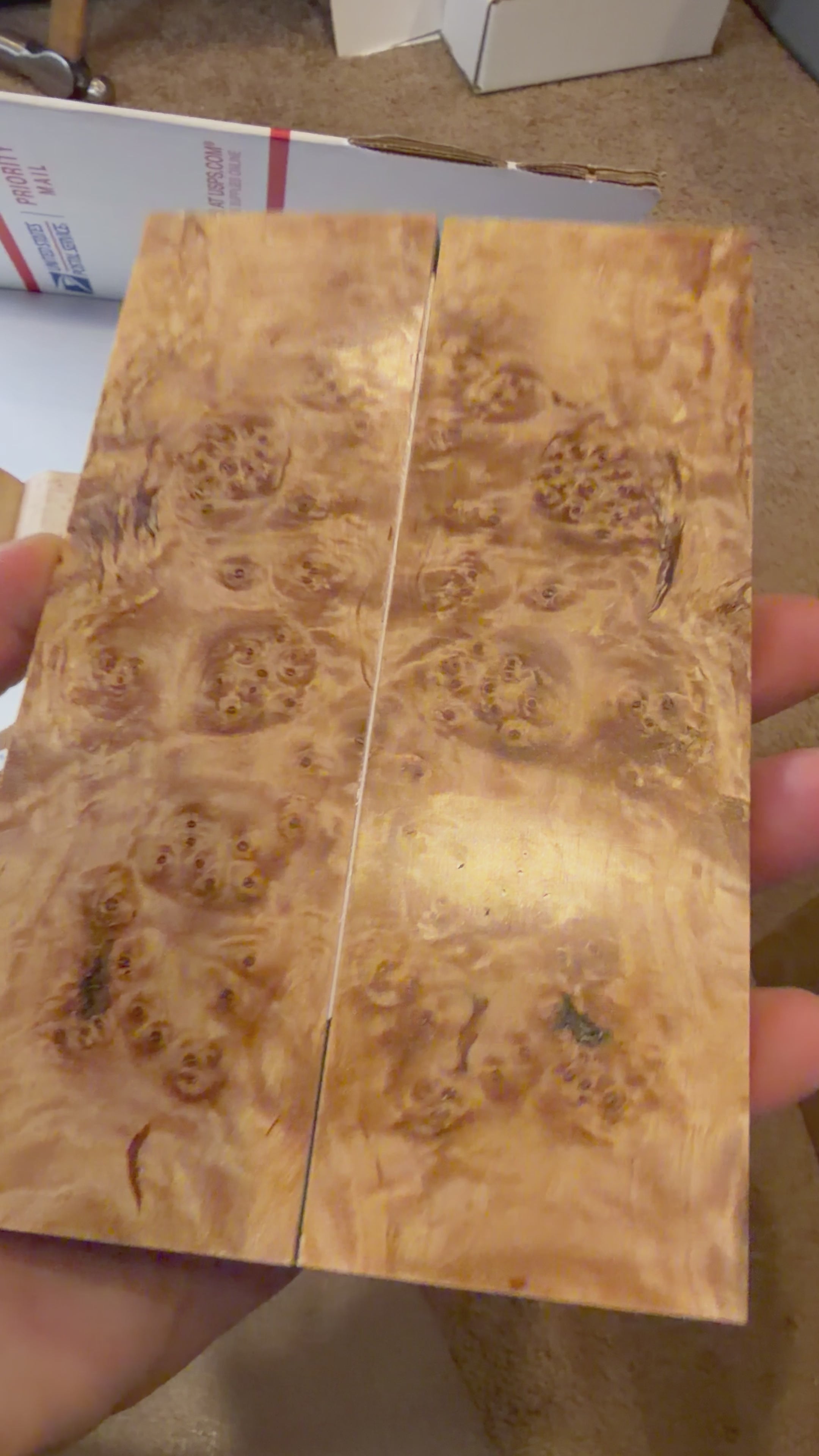 Maple Burl | #0451