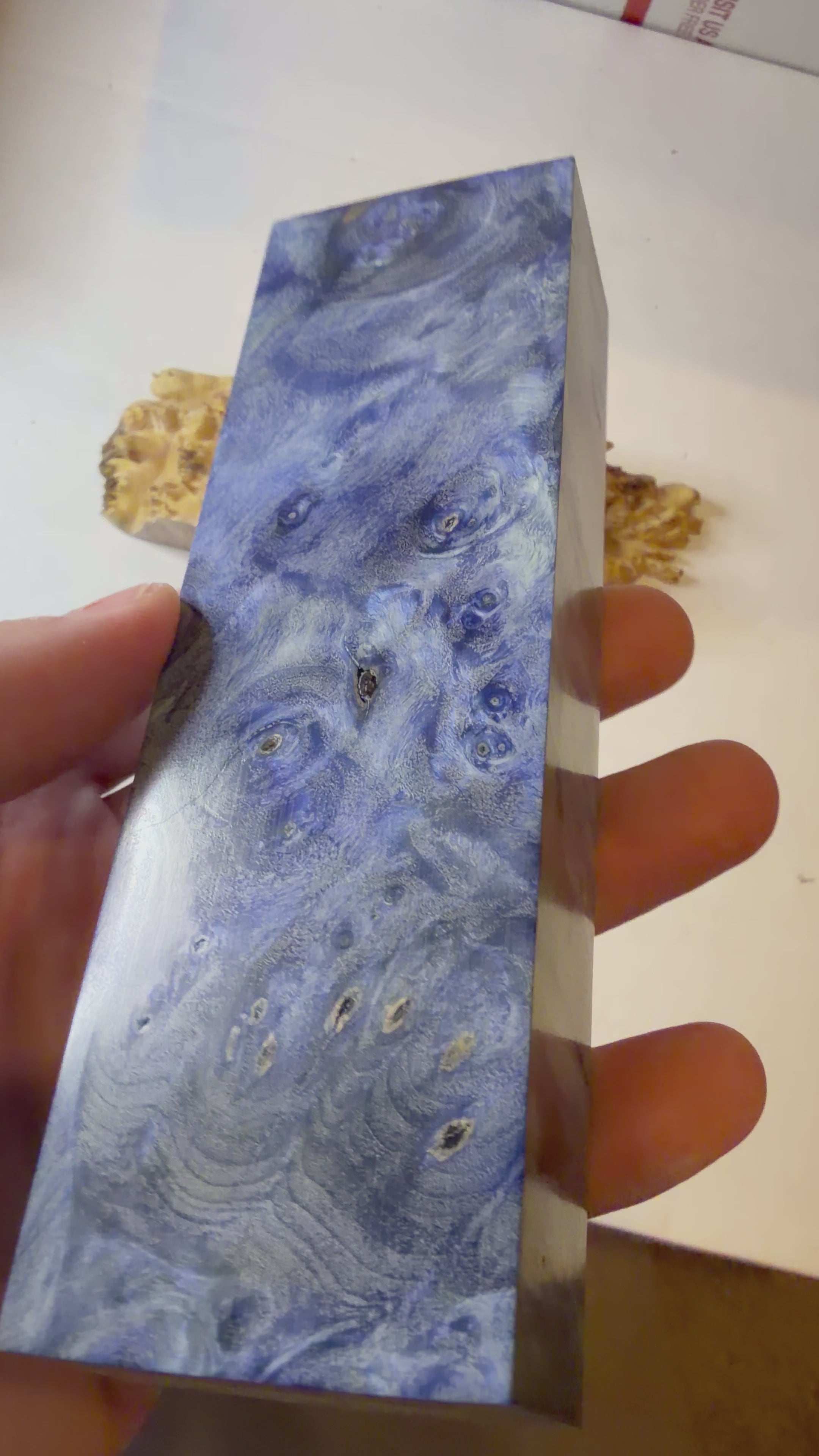 Buckeye Burl | #0624
