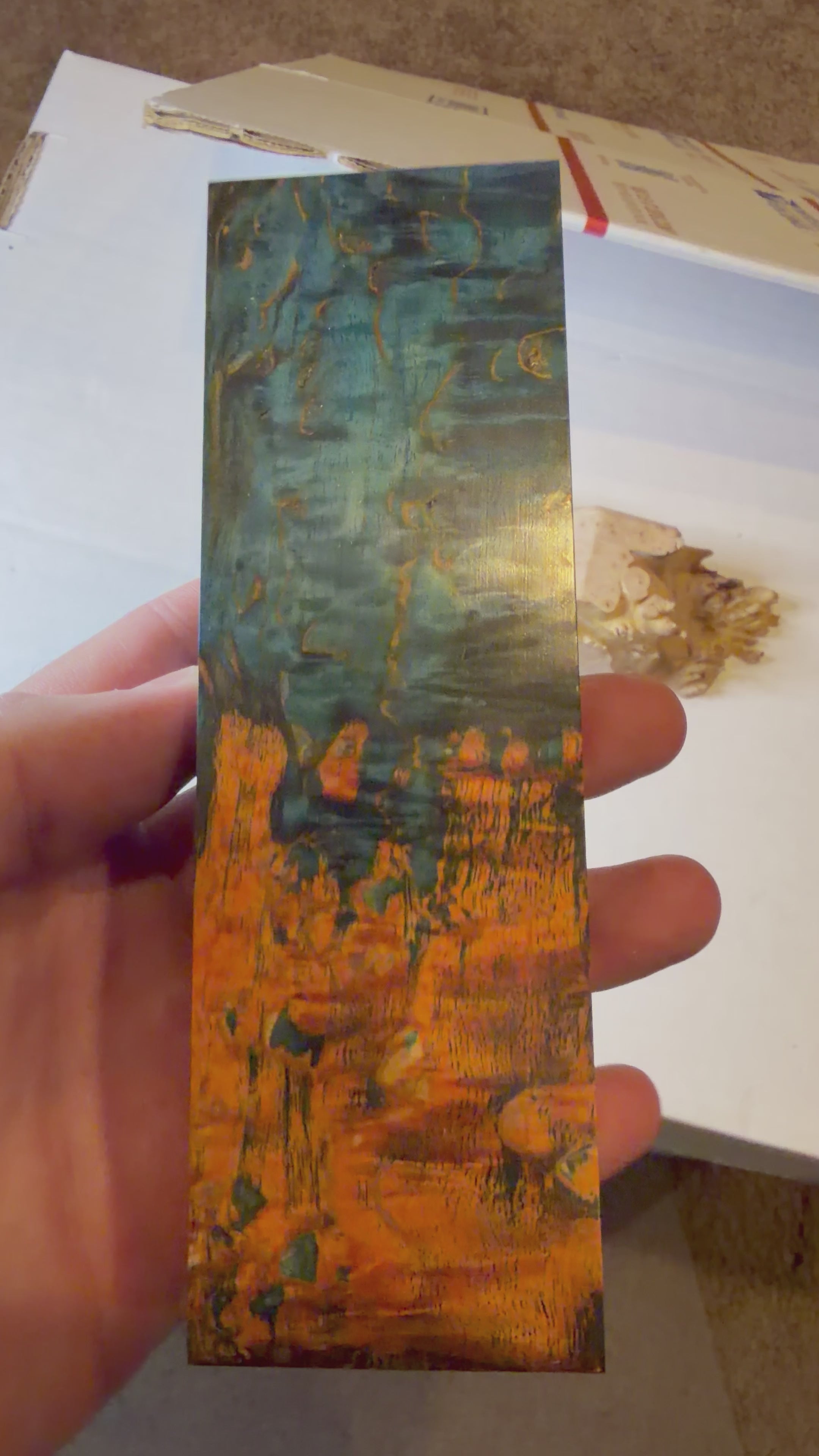 Karelian Birch | #0528