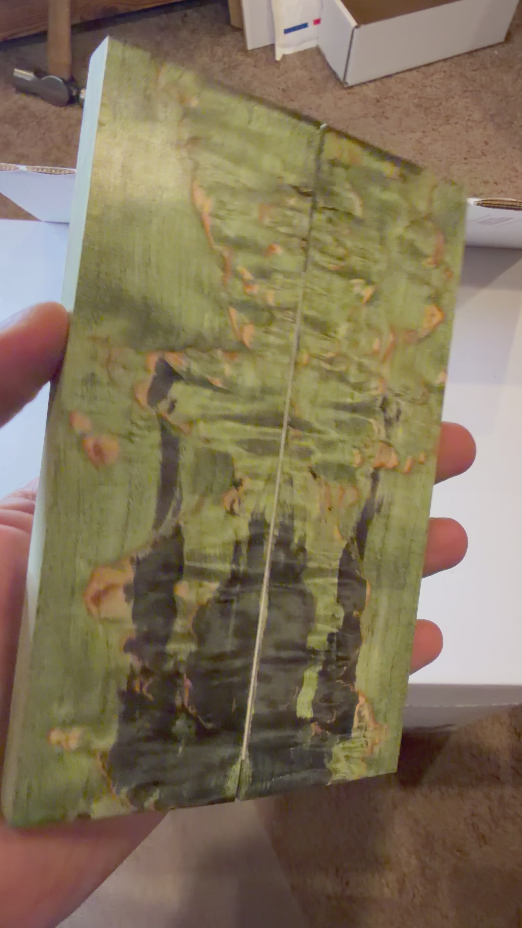 Karelian Birch | #0357