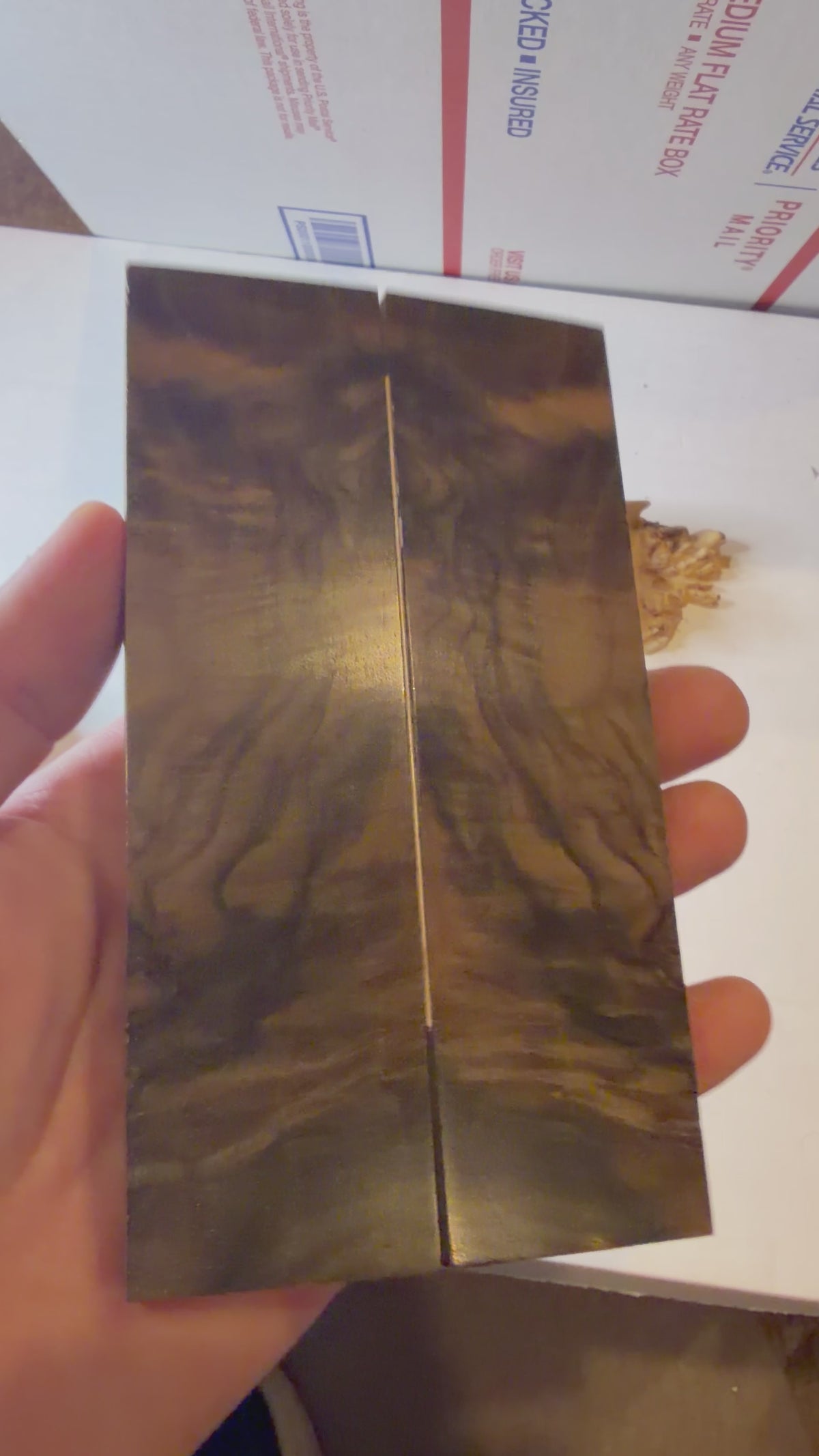Turkish Walnut | #0616